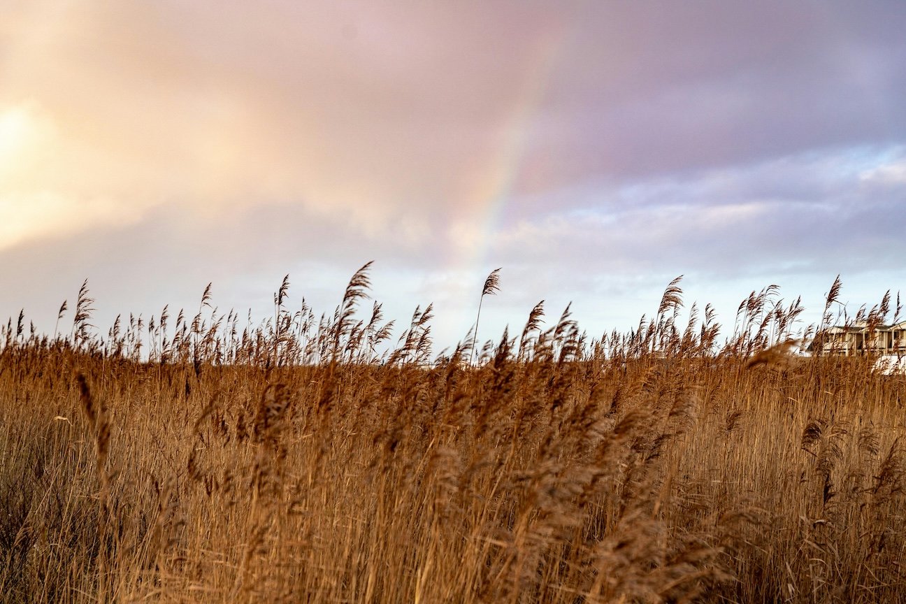Inclusive LGBT Relationship Counseling for Lasting Love