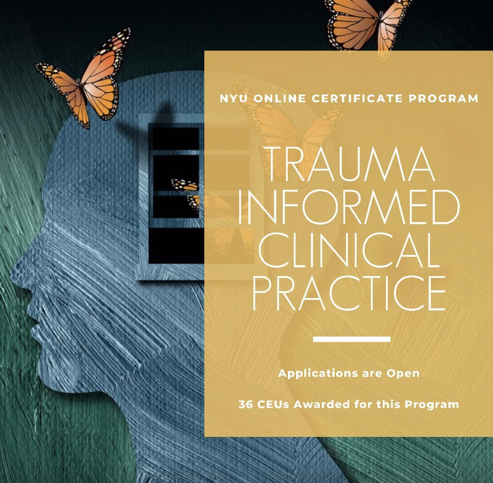 Trauma Informed Training for Mental Health Professionals