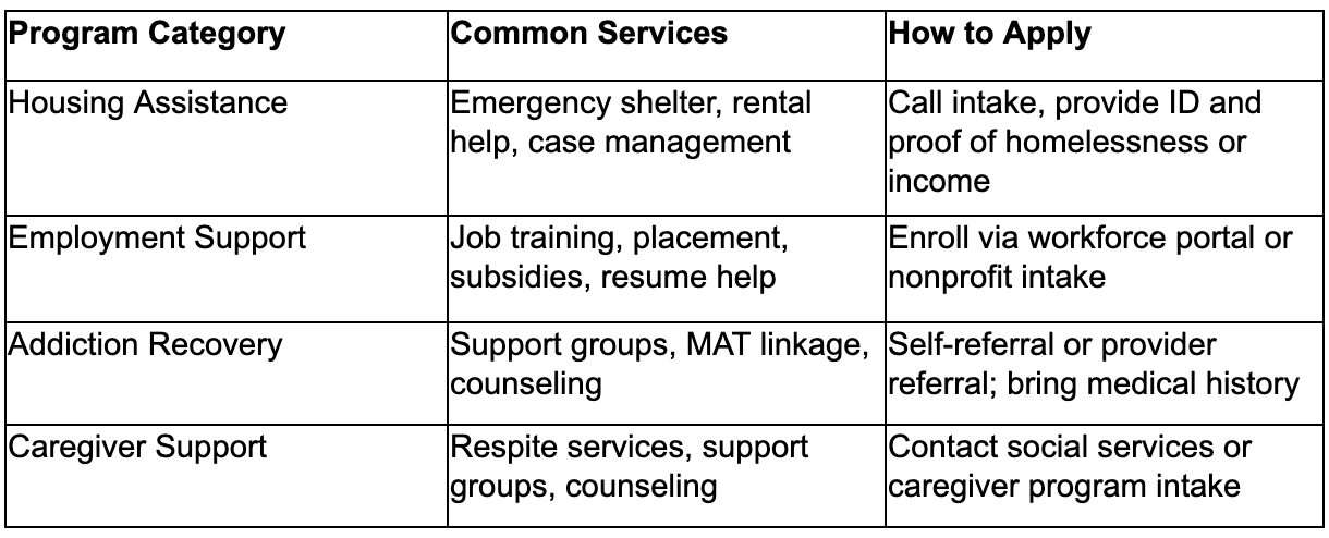 This table compares typical program categories by services, eligibility, and application process.