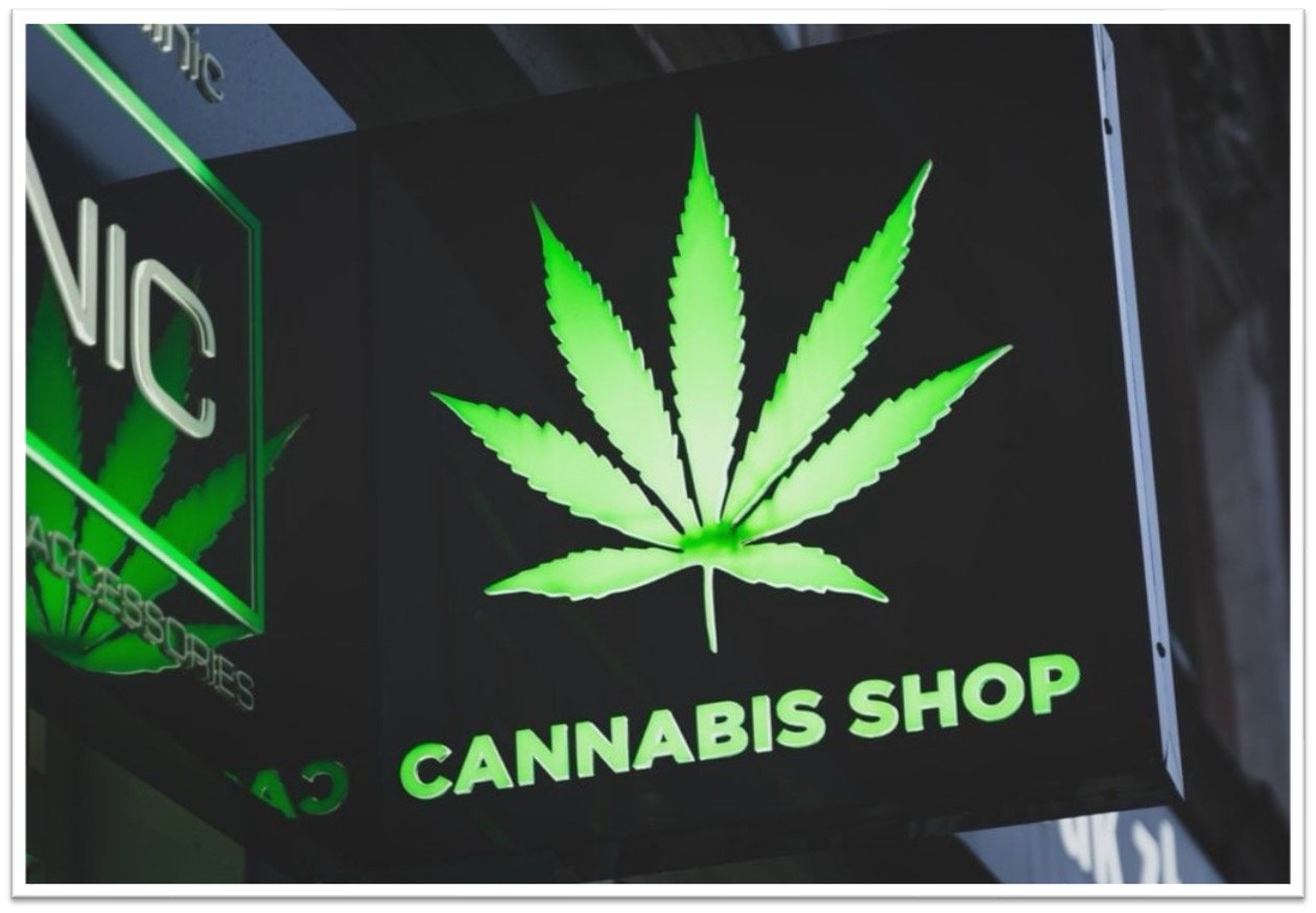 Unlocking Cannabis Business Potential: Scaling with Strategic Insurance