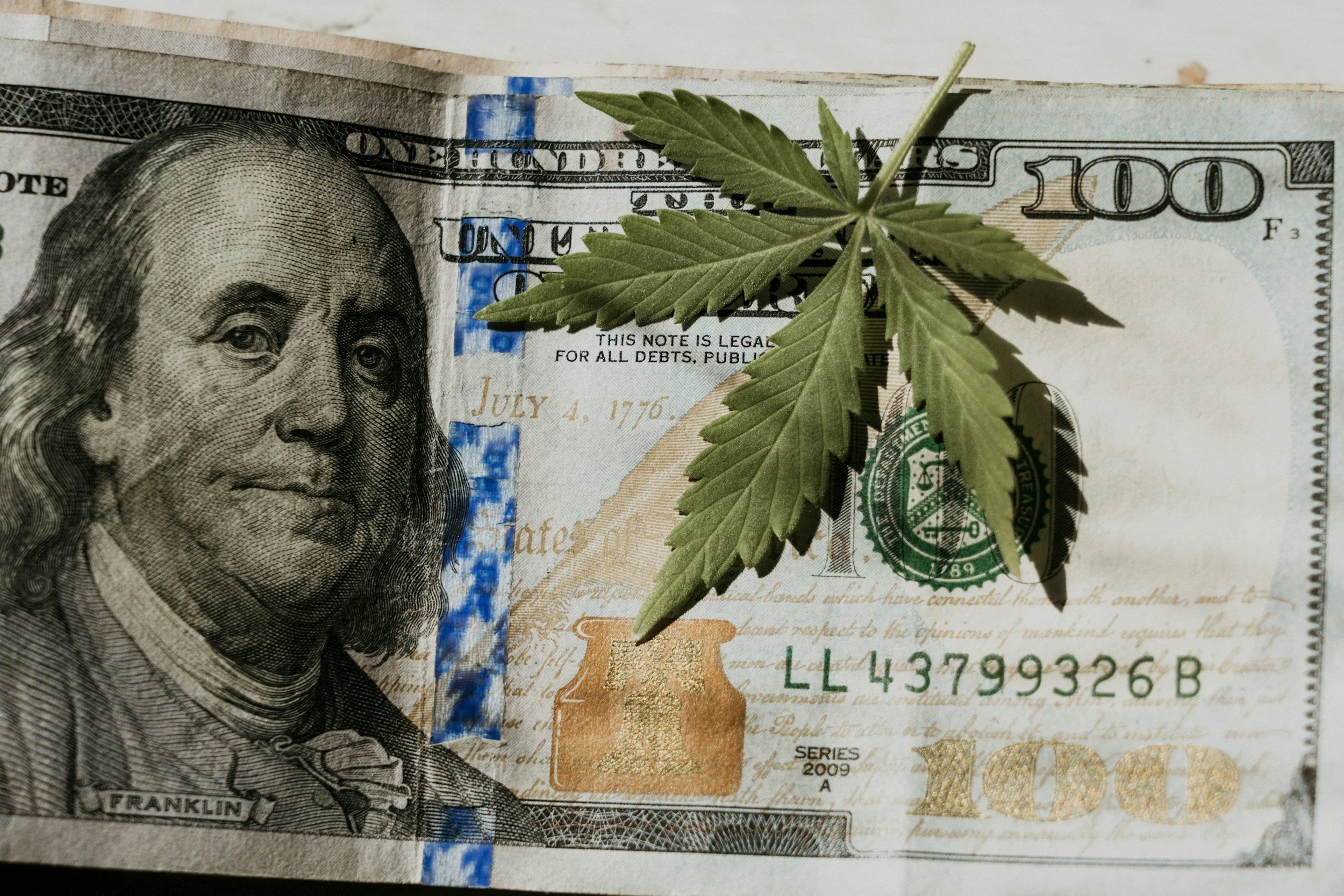 Securing Cannabis Profits: Smarter Strategies for Cash Handling