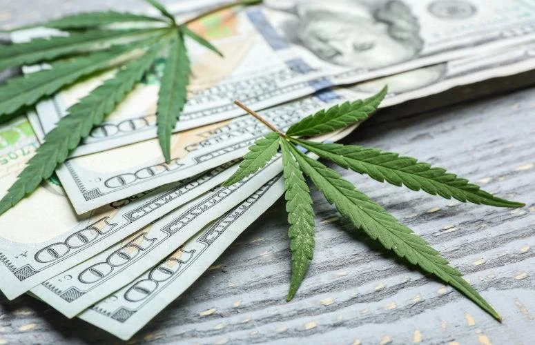 Is Your Cannabis Business Actually Uninsurable?