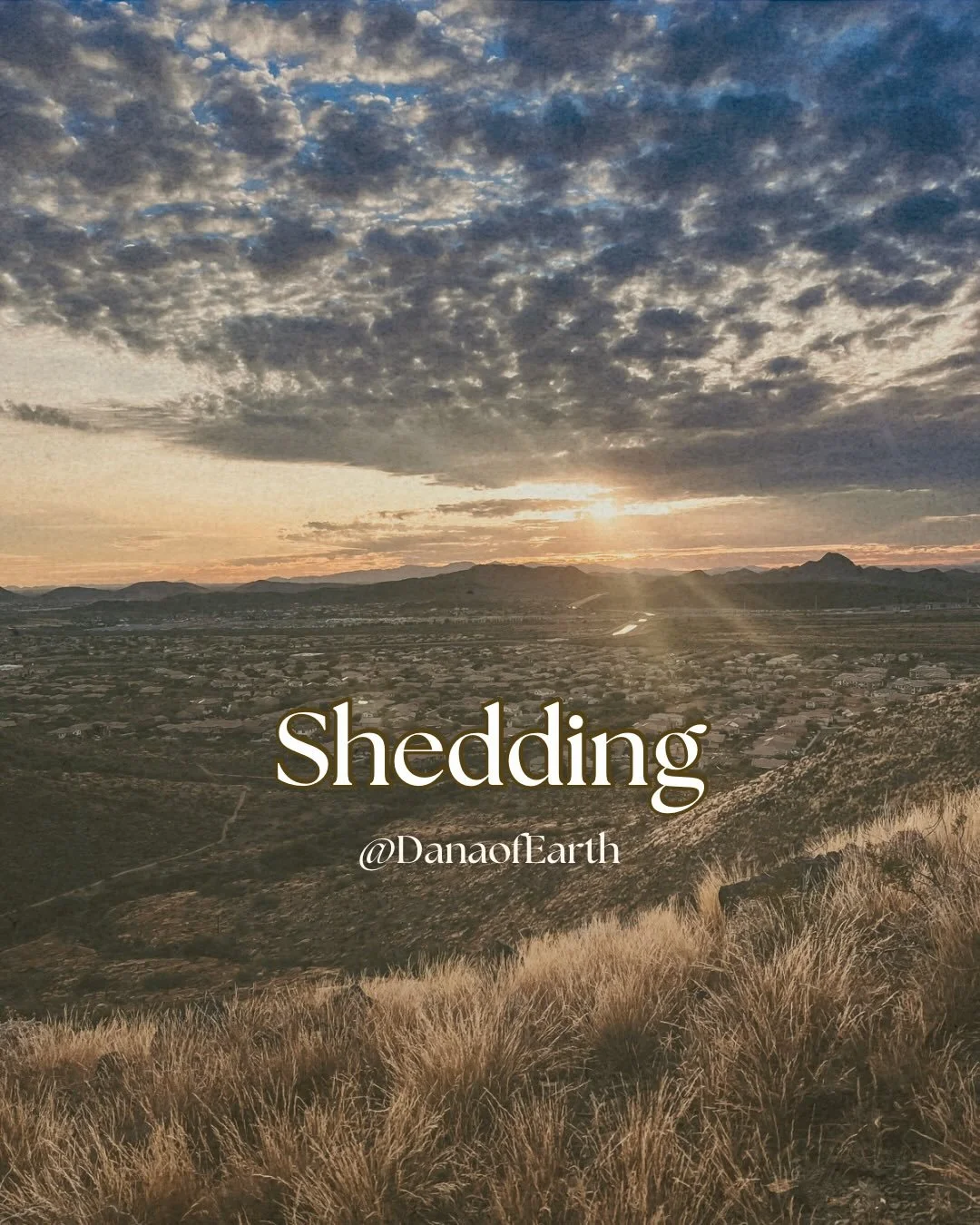 Yesterday while hiking I brought flowers and the shed from my roomies snake Hermione to lay at the top of the mountain. Ironically while hiking I came across this beauty on the trail. 

The divine timing as we enter the final shed and close out the s