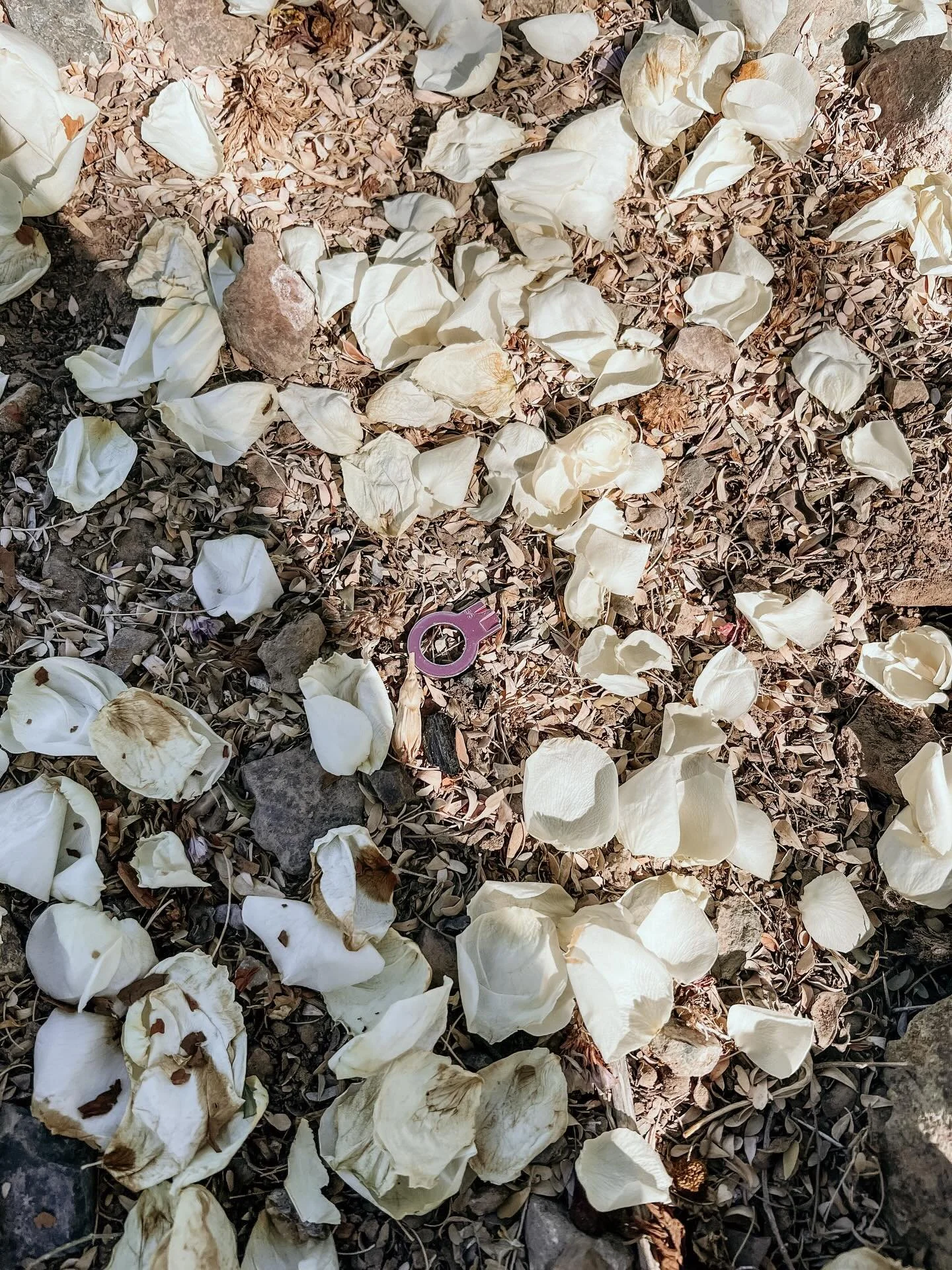 On my birthday in November our house key broke off in the back door when we thought we were locked out. 

It feels symbolic to where we are now 4 months later. . . 

We bought a house!🎉
@ag_161 

Last week I closed the chapter that opened 3 years ag