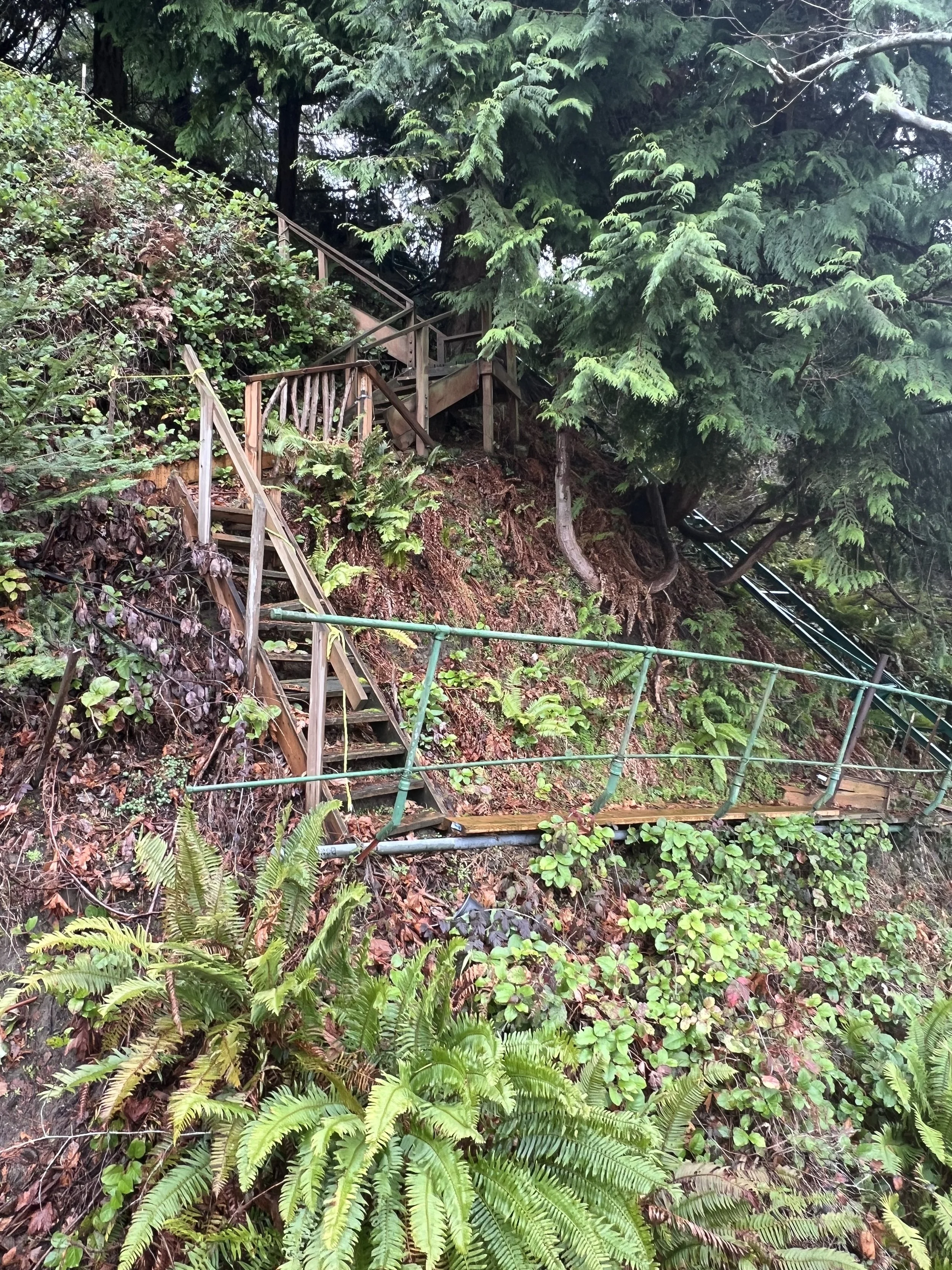 Stairs vs. Cable Lift Systems: Why More Puget Sound Homeowners Are Making the Switch