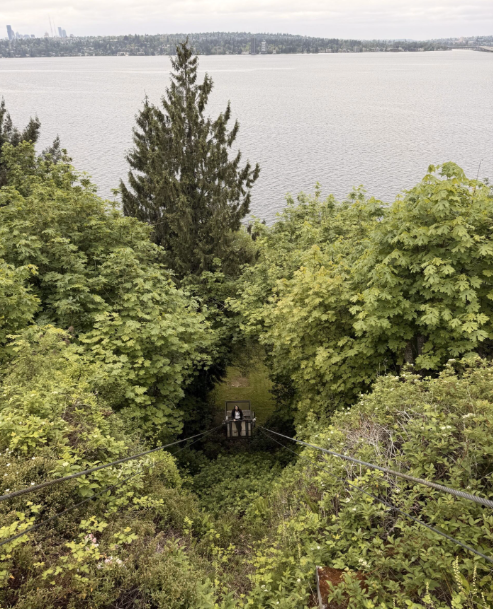 How a Residential Cable Lift Transforms Hard-to-Access Properties in the Pacific Northwest