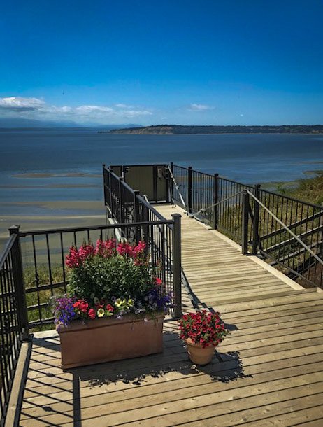 Upper Deck Water Porch Plants.jpg