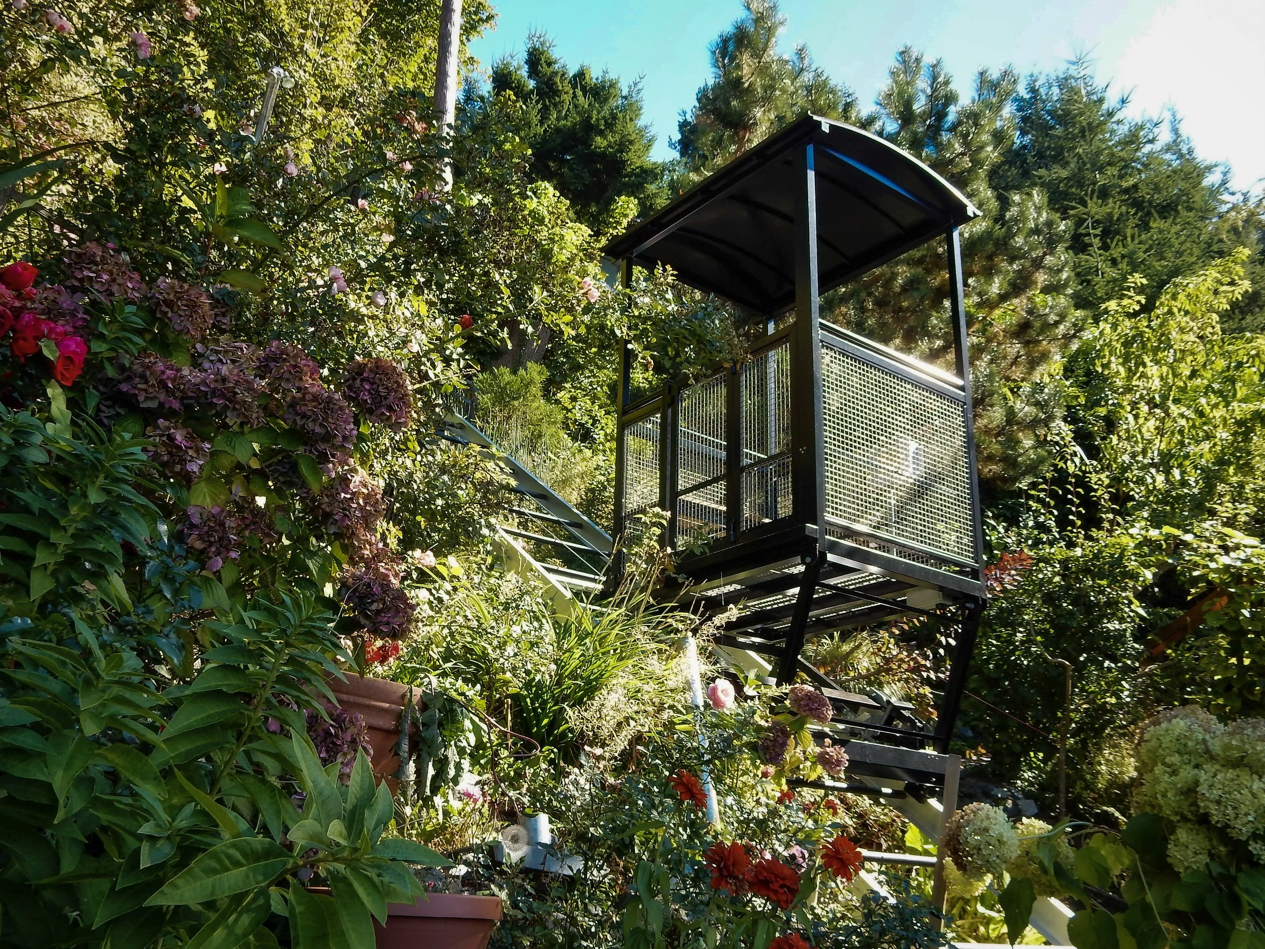 Track Tram in Floral Garden.jpg
