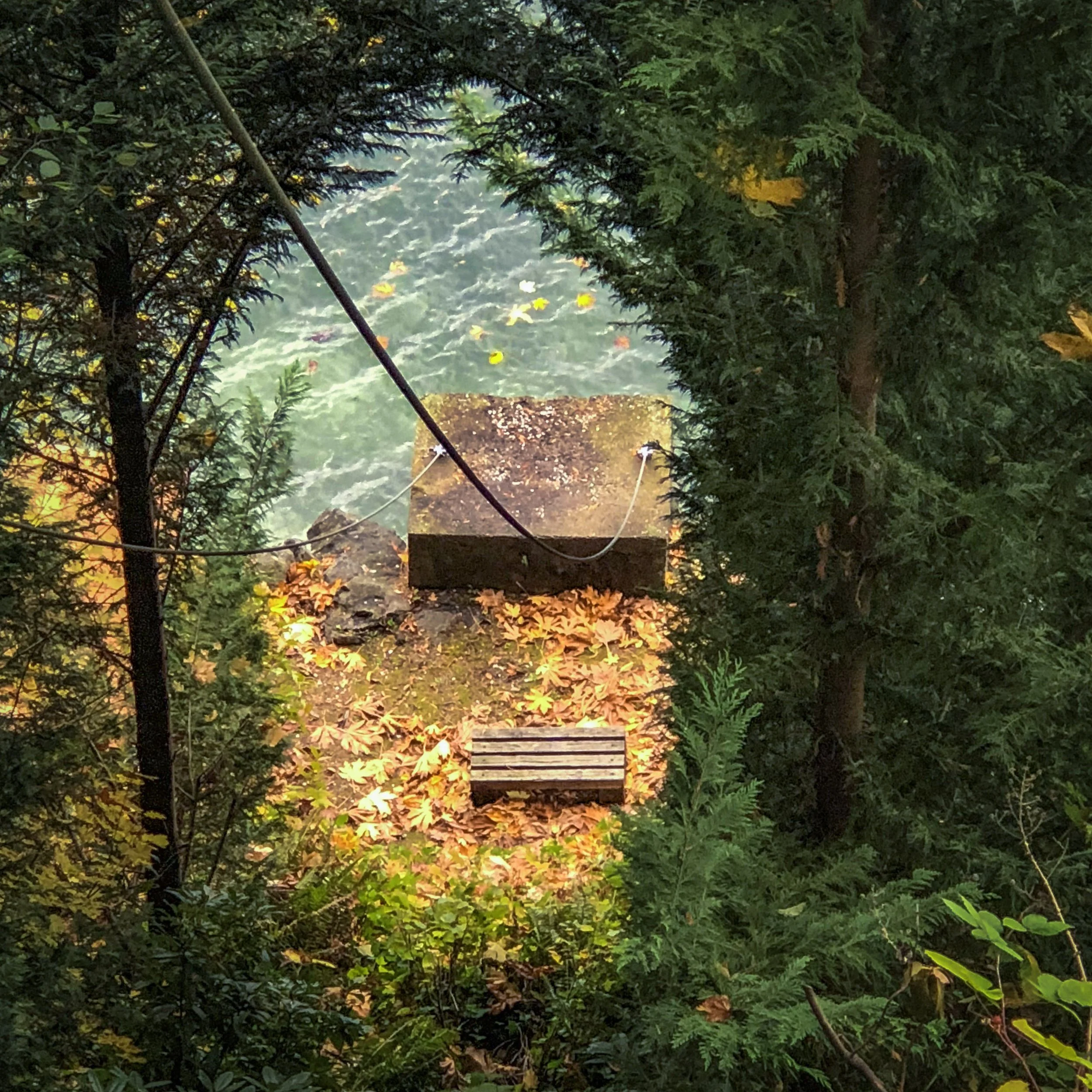 Trees Water Precision Lower Landing.jpg