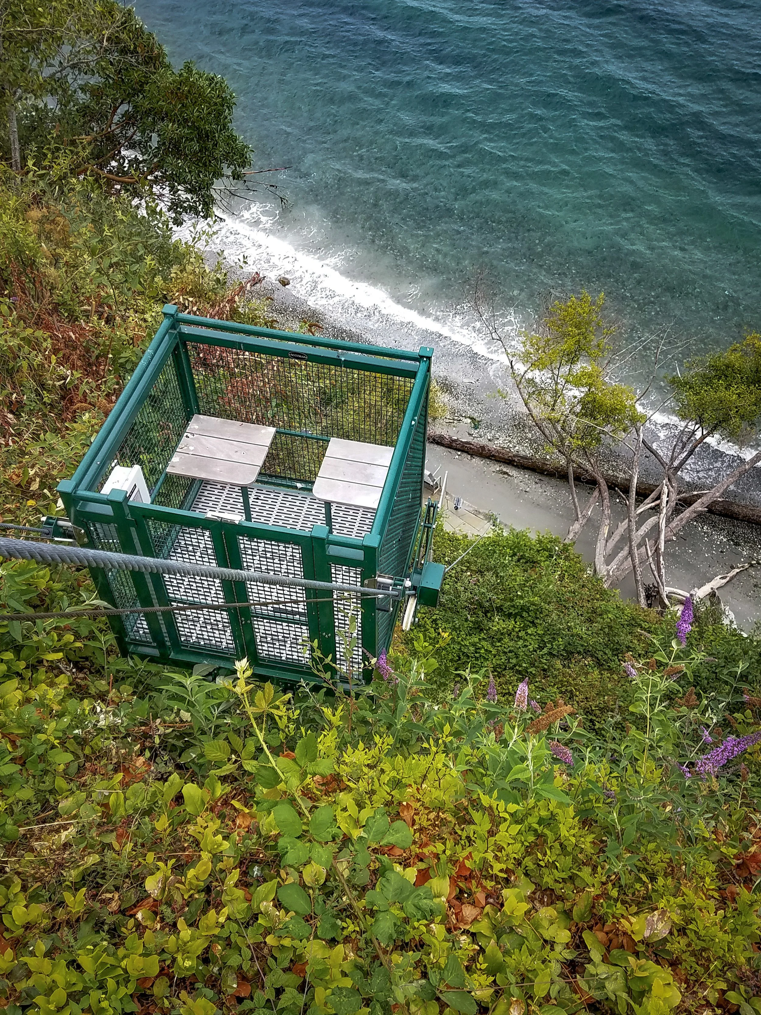 Green Carriage Greenery Bright Sea and Beach (1).jpg