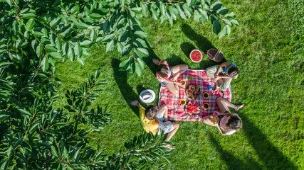 End-of-Year Picnic