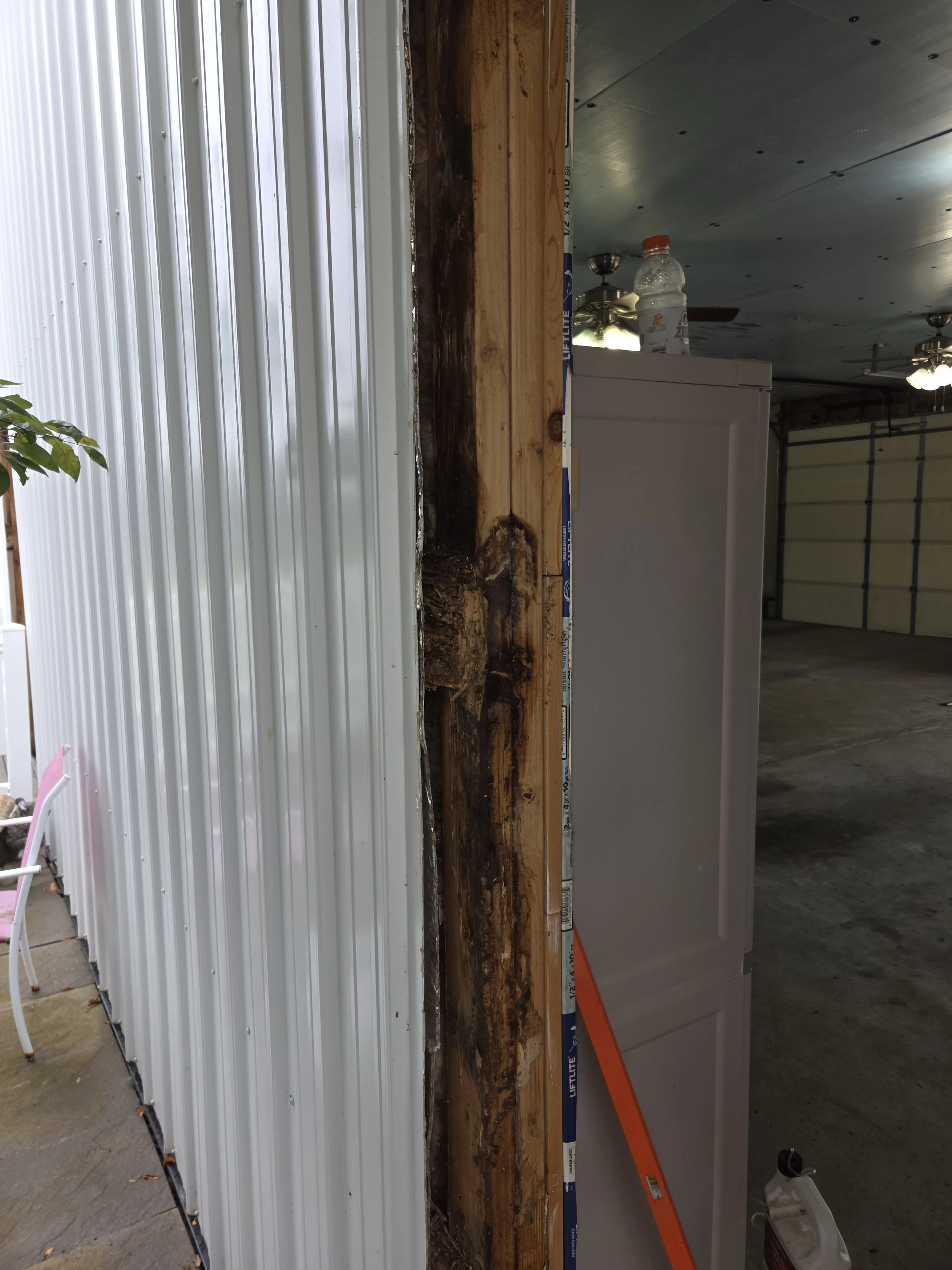Exterior Door Jamb Replacement - Moisture Damage and Termite Damage