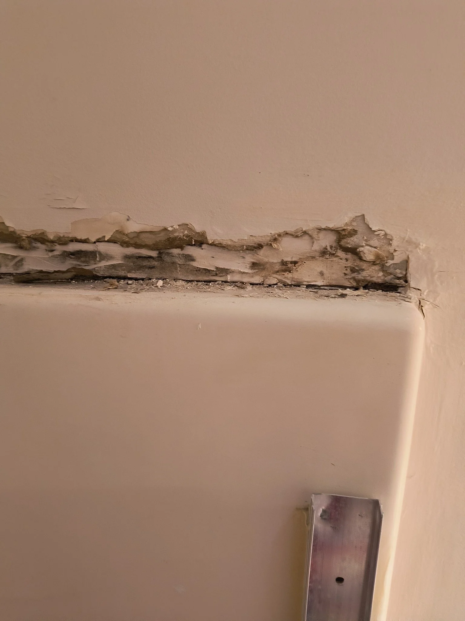Bathroom Mold Remediation