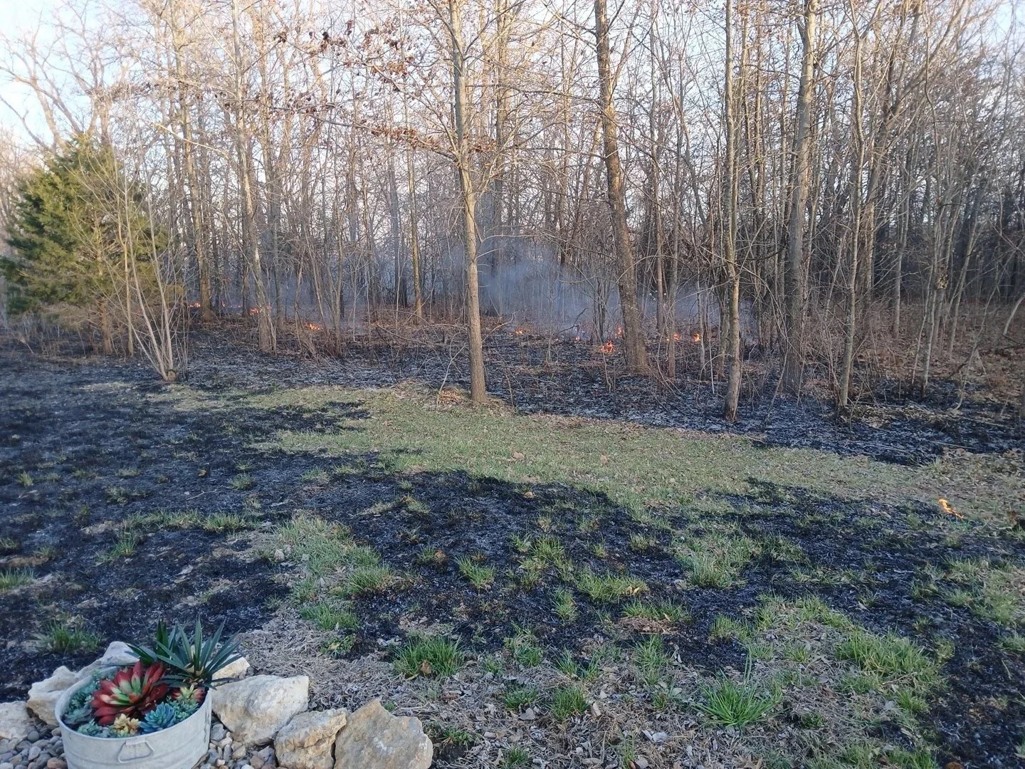 Controlled Burn / Property Maintenance 