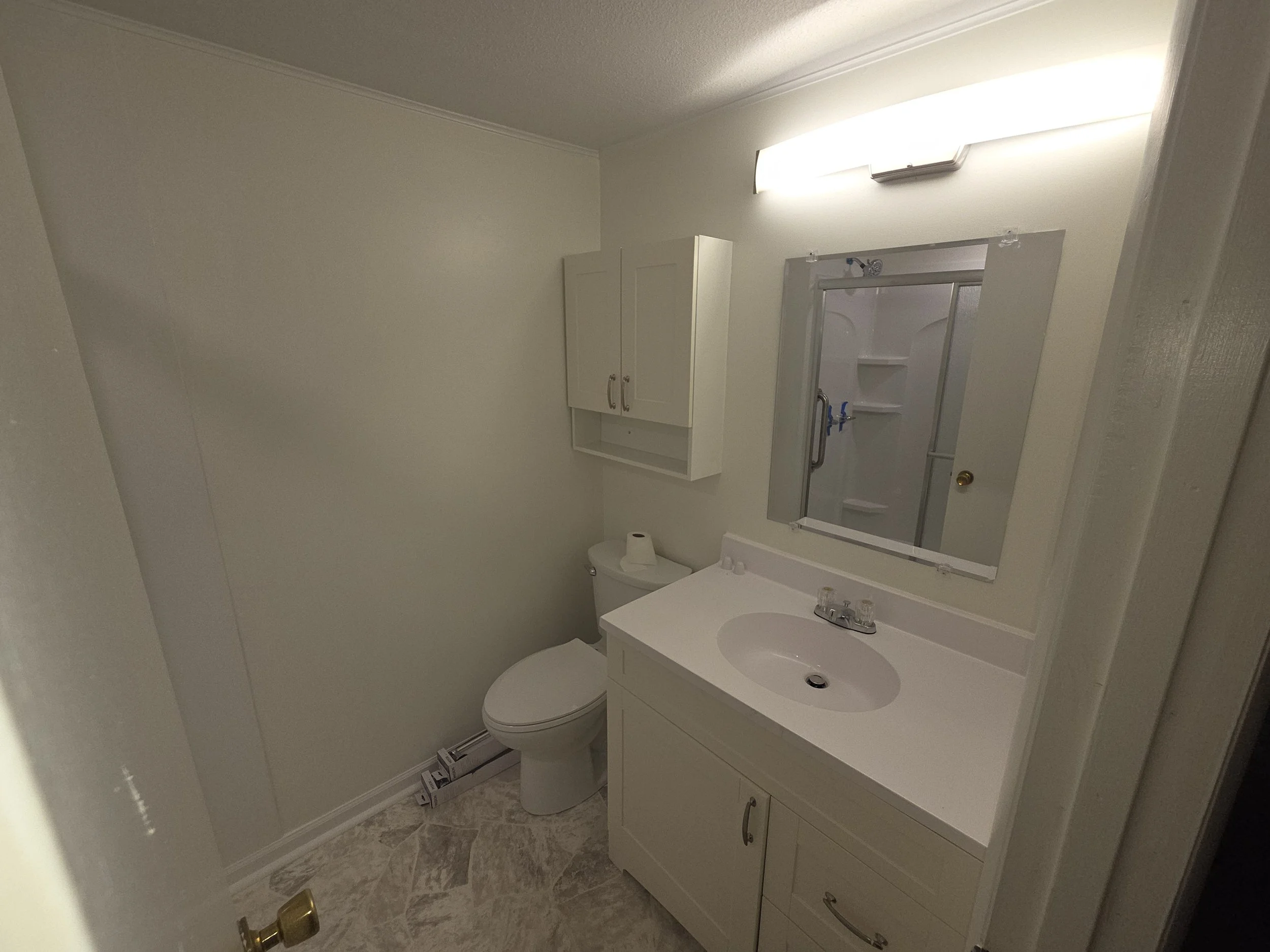 Bathroom Remodel / New Fixtures Install