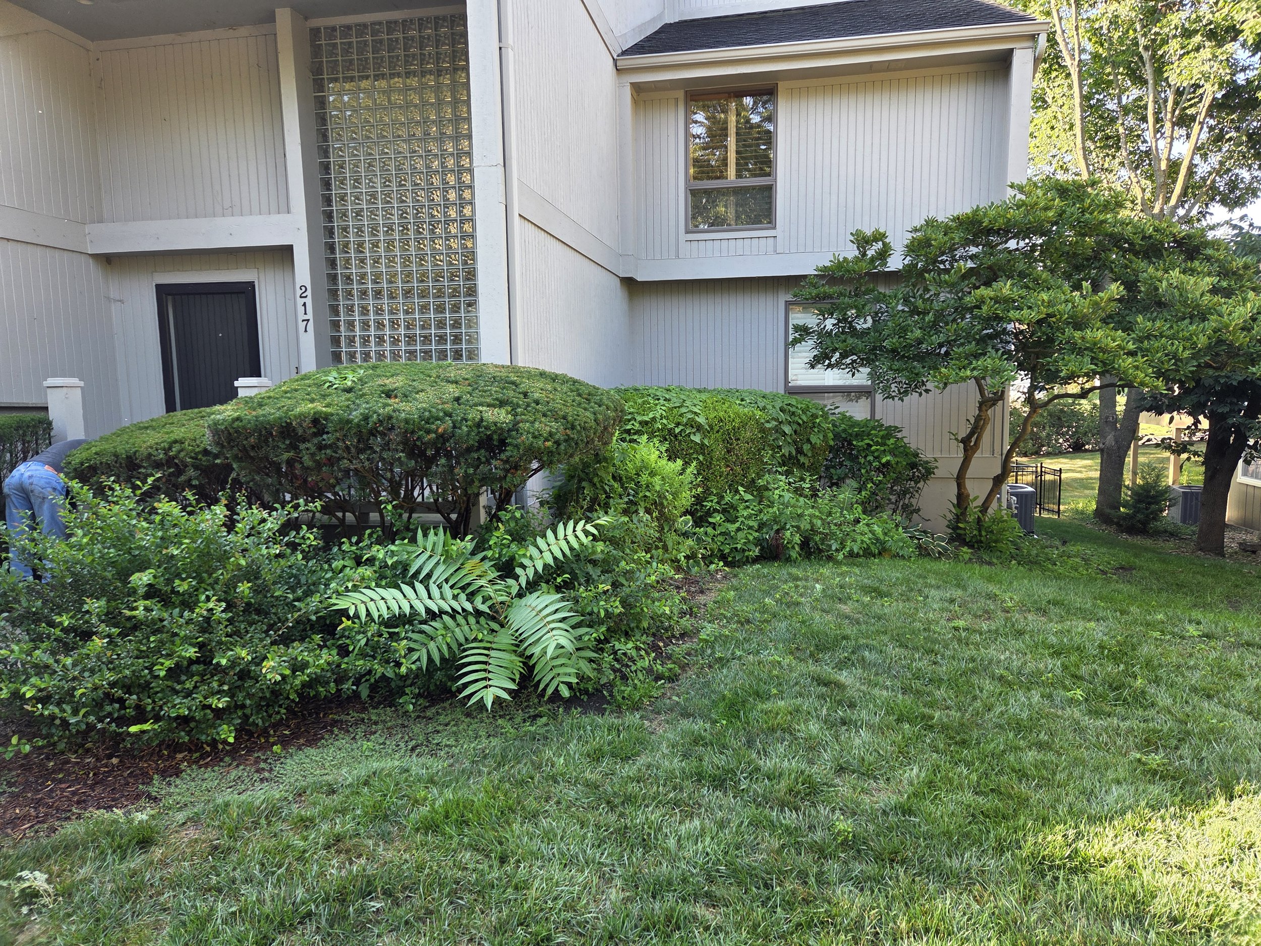 Exterior - Before