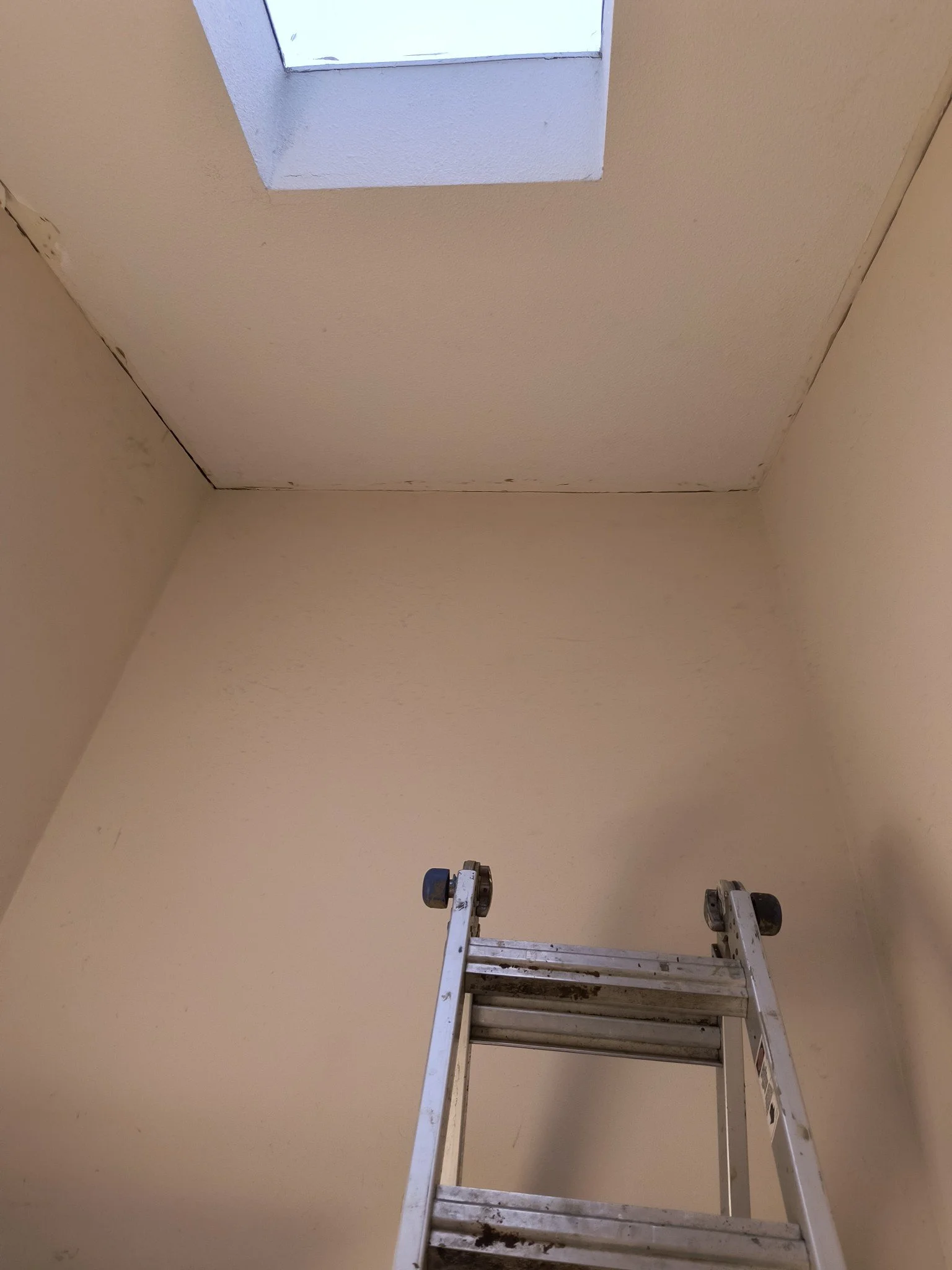Bathroom Ceiling Before