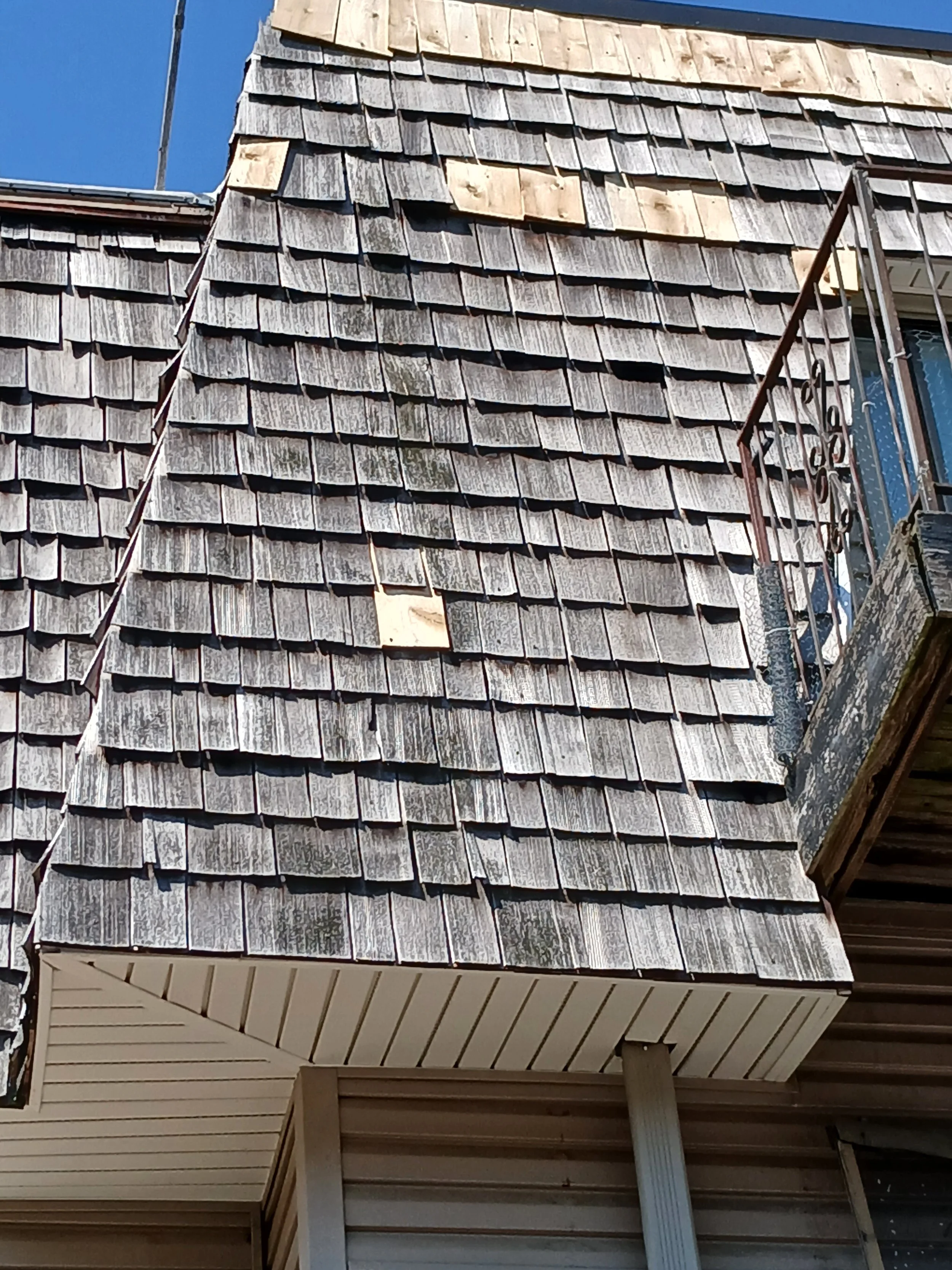 Siding Repair 