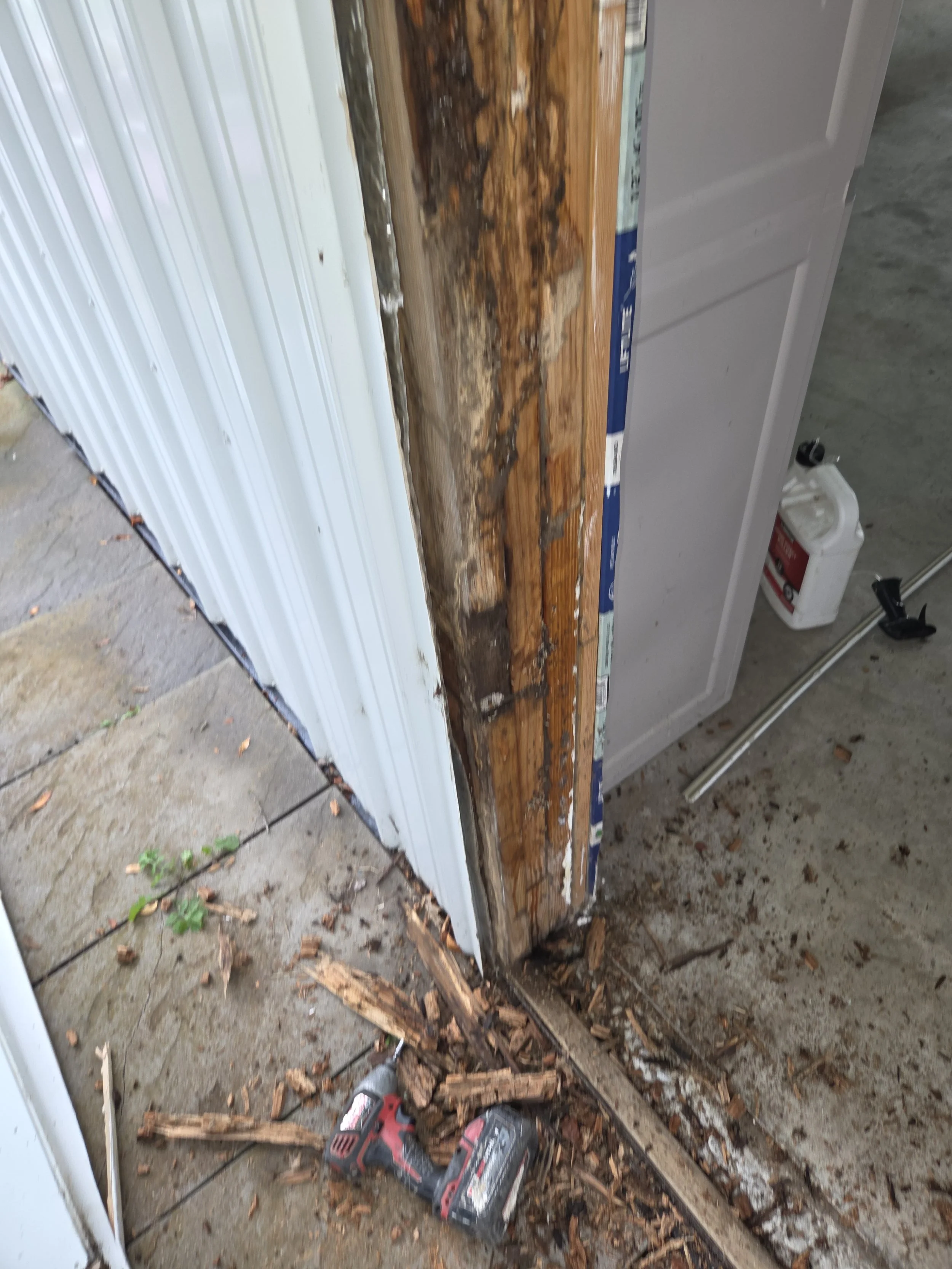 Exterior Door Jamb Replacement - Moisture Damage and Termite Damage