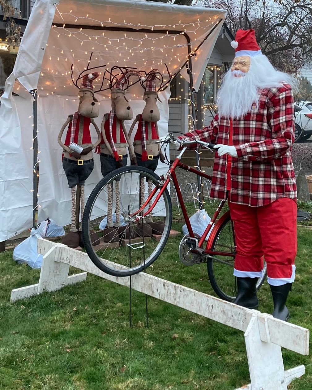 Santa is dressed in his Southern Oregon uniform and ready to pedal! Christmas in Jacksonville is the best! Come visit! #plaidshirt #santa #raindeer #cyclocross #christmaspedal