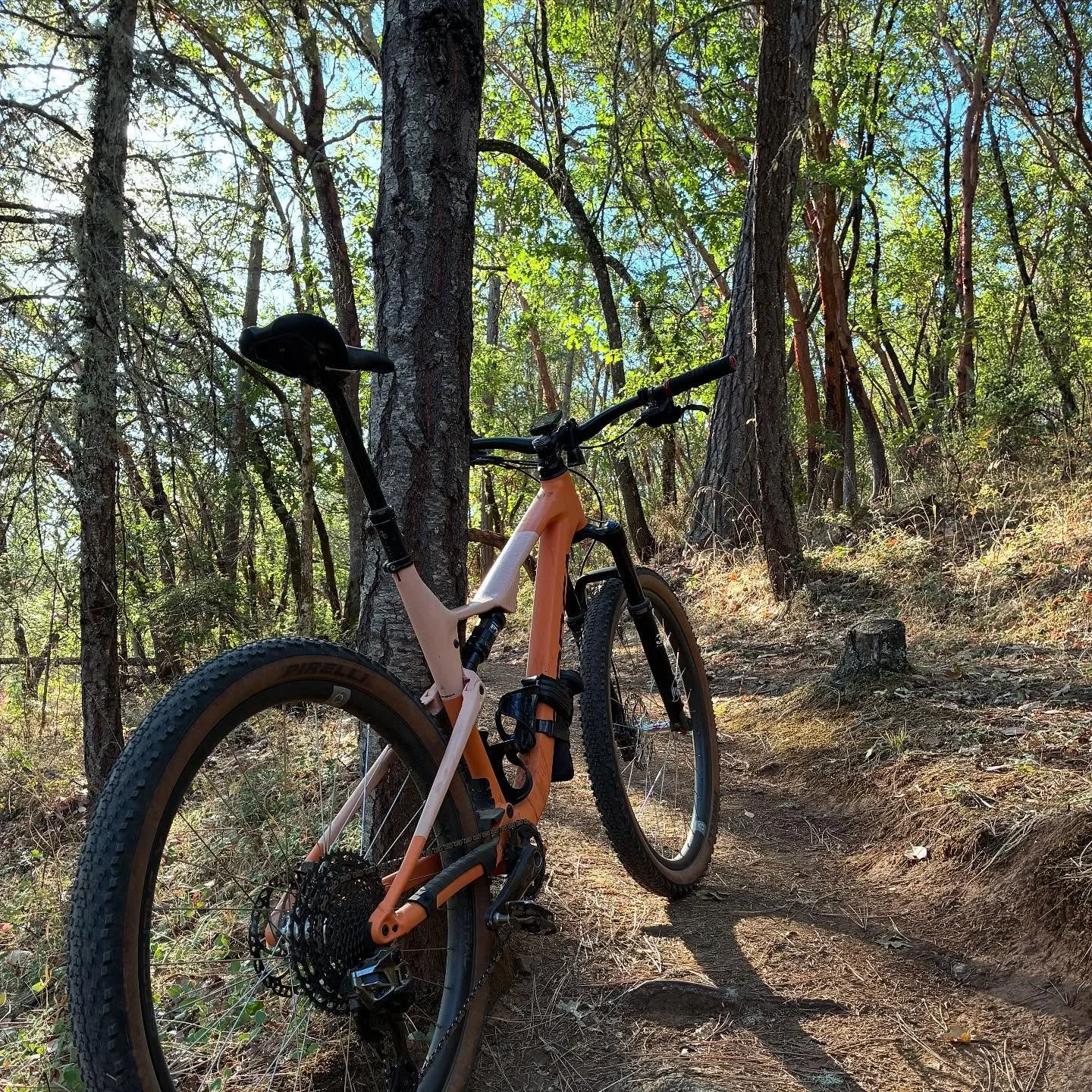 Views on the morning commute. #viewsonthemorningcommute #ilovethesmellofsingletrackinthemorning #orbeaoiz #weareorbea #visitjacksonvilleoregon #mtbsouthernoregon #mtbroguevalley #jacksonvillewoodlands #pirelliscorpion #astralcycling #mtbgrantspass