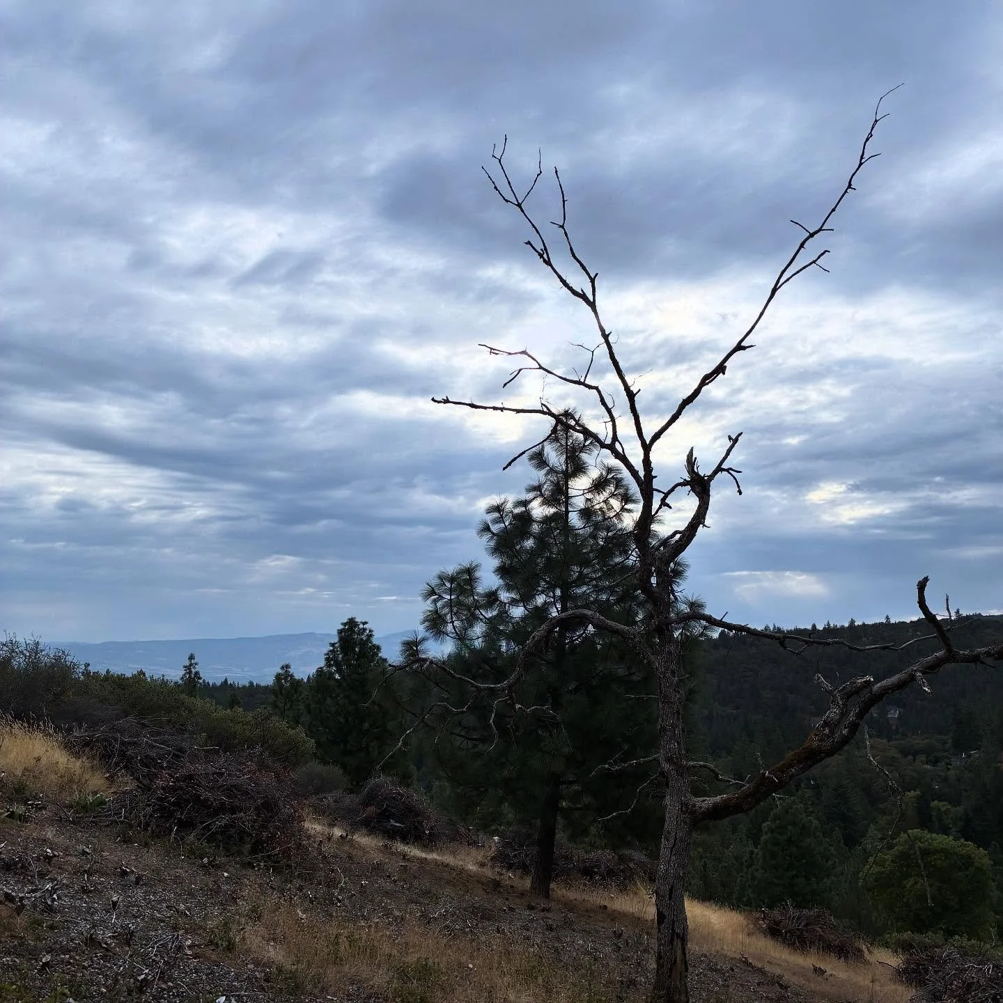 Views on the morning commute. #viewsonthemorningcommute #ilovethesmellofsingletrackinthemorning #visitjacksonvilleoregon #jacksonvilleoregon #mtbroguevalley #mtbsouthernoregon #weareorbea #jacksonvillewoodlands #pirelliscorpion
