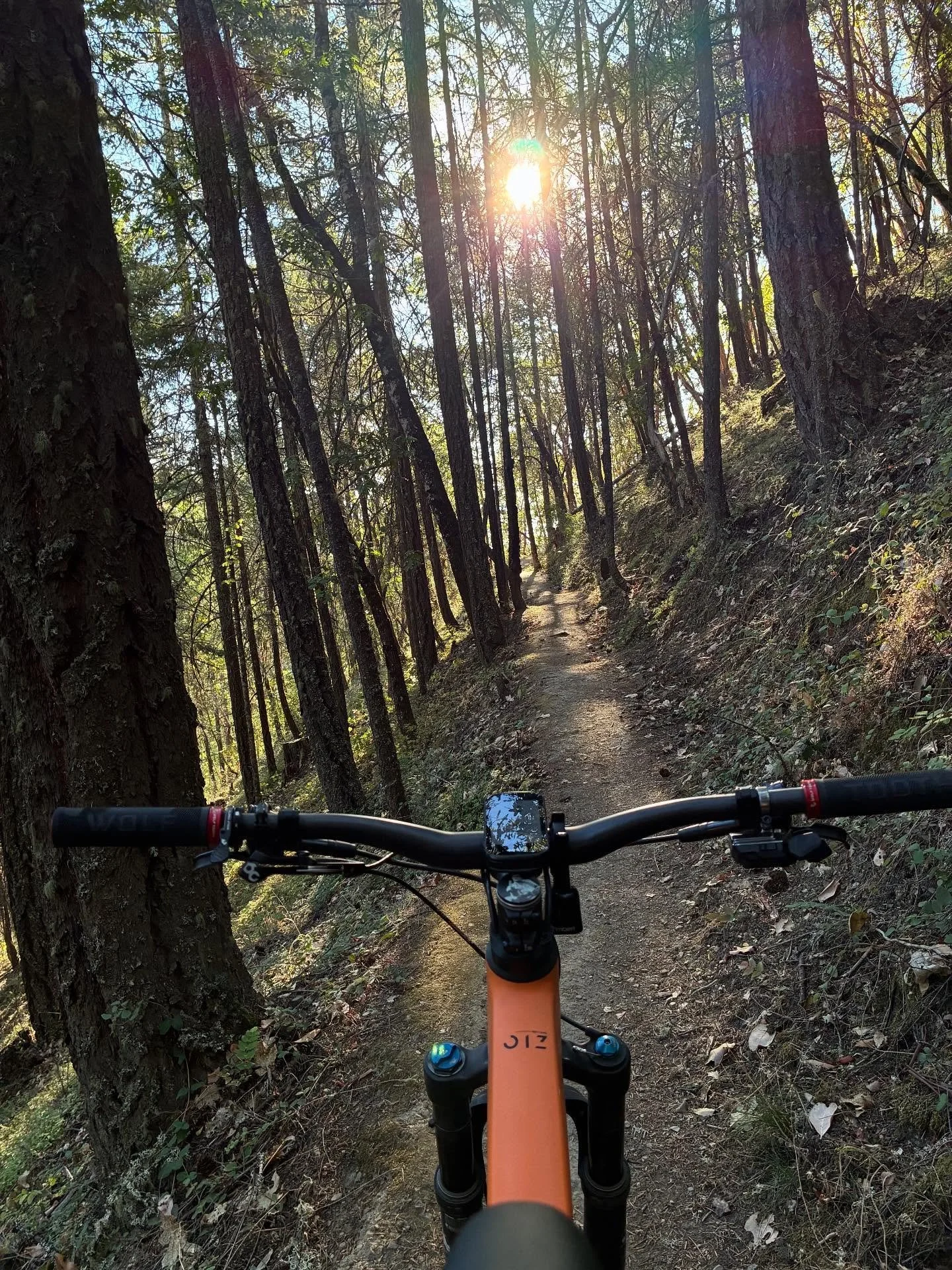 Views on the morning commute. #viewsonthemorningcommute #ilovethesmellofsingletrackinthemorning #visitjacksonvilleoregon #jacksonvilleoregon #mtbsouthernoregon #mtbroguevalley #orbeaoiz #herecomesthesun