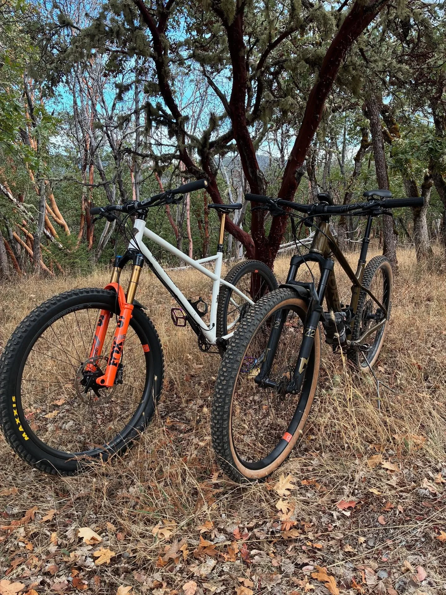 Views on the morning commute. #viewsonthemorningcommute #visitjacksonvilleoregon #jacksonvilleoregon #ilovethesmellofsingletrackinthemorning #fatchancebikes #fatchancewicked #astralcycling #orbealaufey #madronecycles #madronecyclesjab #mtbsouthernore