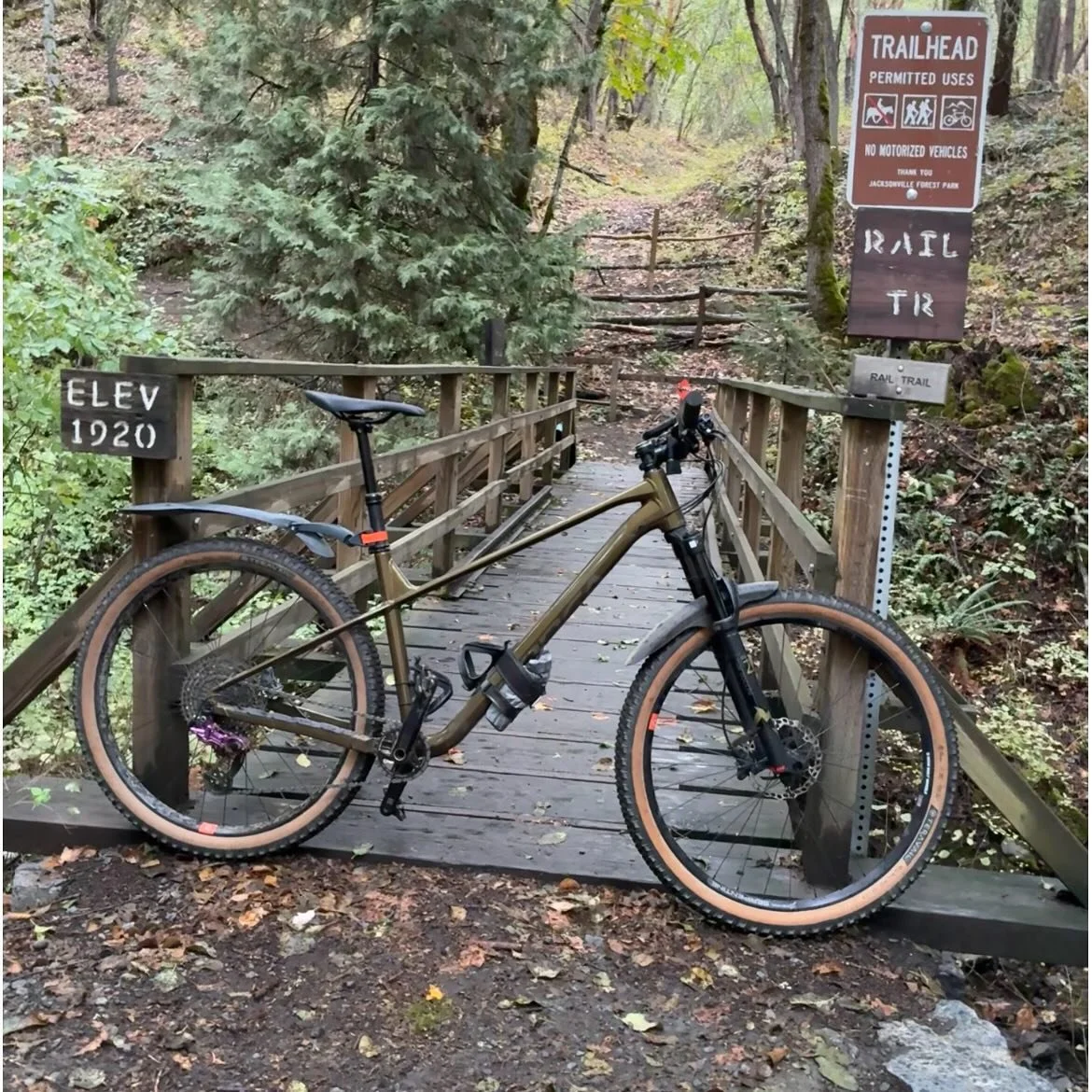 Views on the morning commute. #viewsonthemorningcommute #ilovethesmellofsingletrackinthemorning #rainisjustconfettifromthesky #orbealaufey #madronecycles #madronecyclesjab #astralcycling #teravailhoncho #visitjacksonvilleoregon #jacksonvilleoregon #f