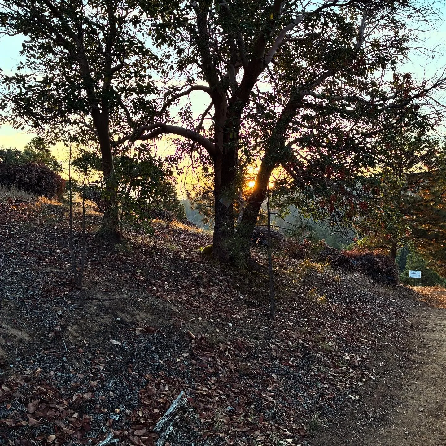 Views on the morning commute. Beautiful sunrise this morning. #viewsonthemorningcommute #visitjacksonvilleoregon #jacksonvilleoregon #ilovethesmellofsingletrackinthemorning #orbeaoiz #orbeaoccam ##weareorbea #orbeamtb