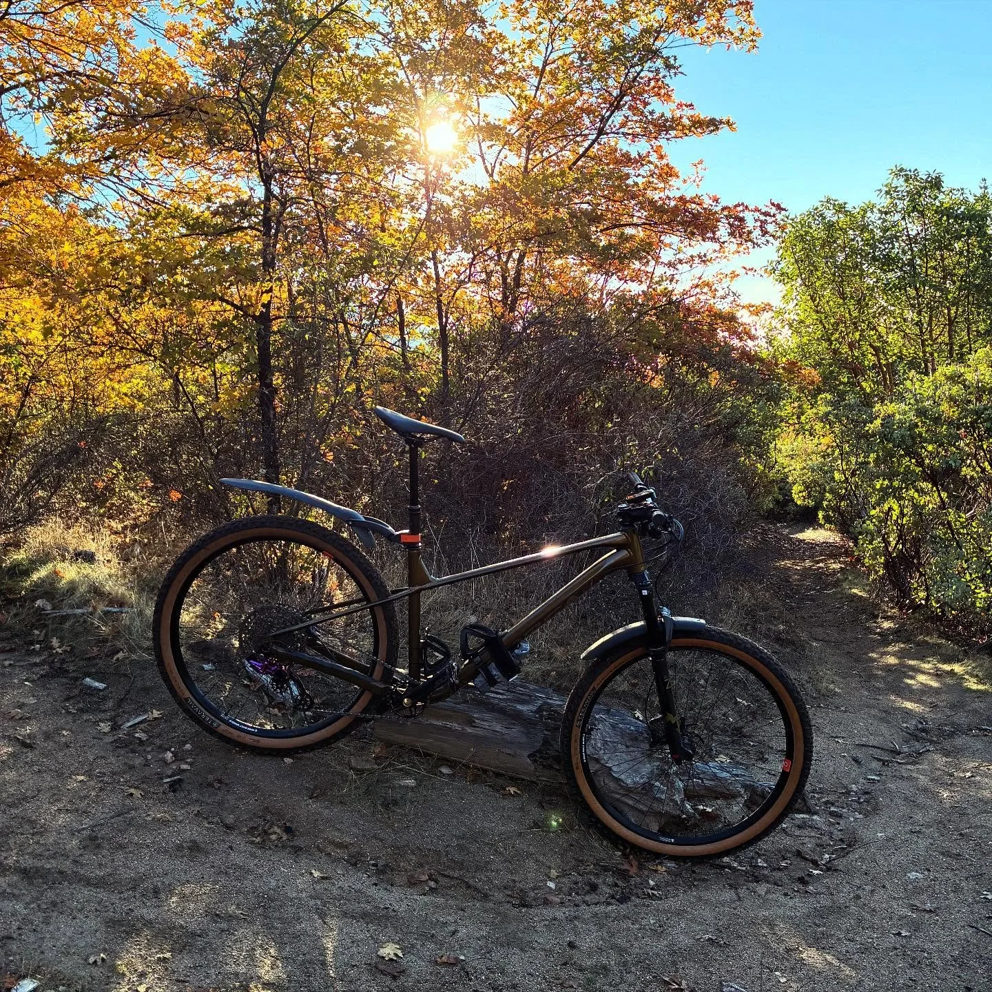 Views on the morning commute. #viewsonthemorningcommute #ilovethesmellofsingletrackinthemorning #madronecycles #madronecyclesjab #astralcycling #orbealaufey #orbeaoccam #herecomesthesun #snapsonsunrise #weareorbea #visitjacksonvilleoregon #jacksonvil
