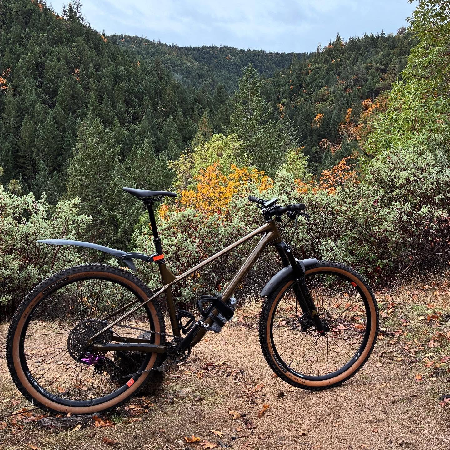 Views on the morning commute. #viewsonthemorningcommute #ilovethesmellofsingletrackinthemorning #orbealaufey #weareorbea #astralcycling #madronecycles #madronecyclesjab #abovethefog #visitjacksonvilleoregon #jacksonvilleoregon #vernbuiltwheels #terra