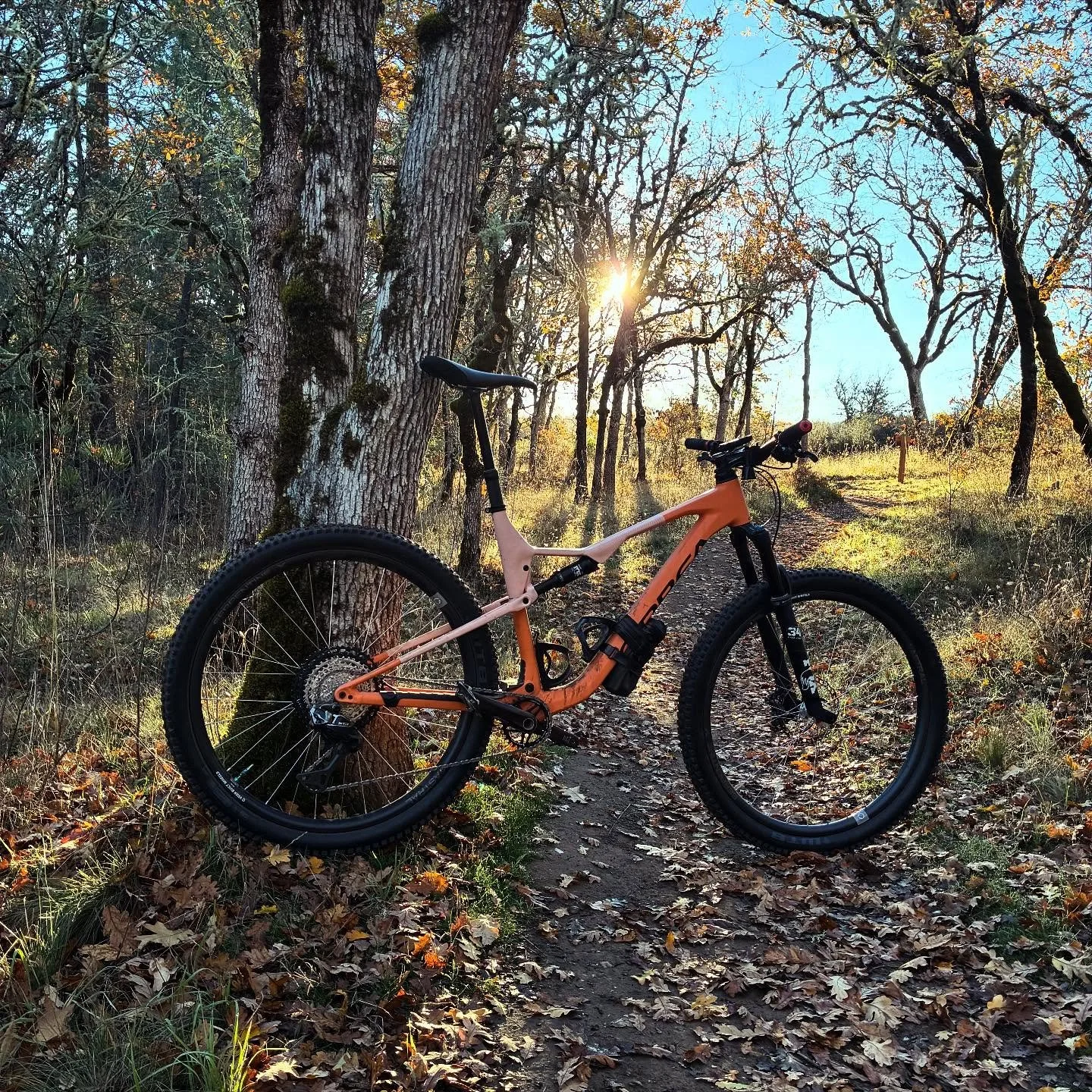 Views on the morning commute. #viewsonthemorningcommute #ilovethesmellofsingletrackinthemorning #orbeaoiz #wtbpeacekeeper #wtbtires #astralcycling #mtbsouthernoregon #mtbroguevalley #jacksonvillewoodlands #visitjacksonvilleoregon #jacksonvilleoregon 