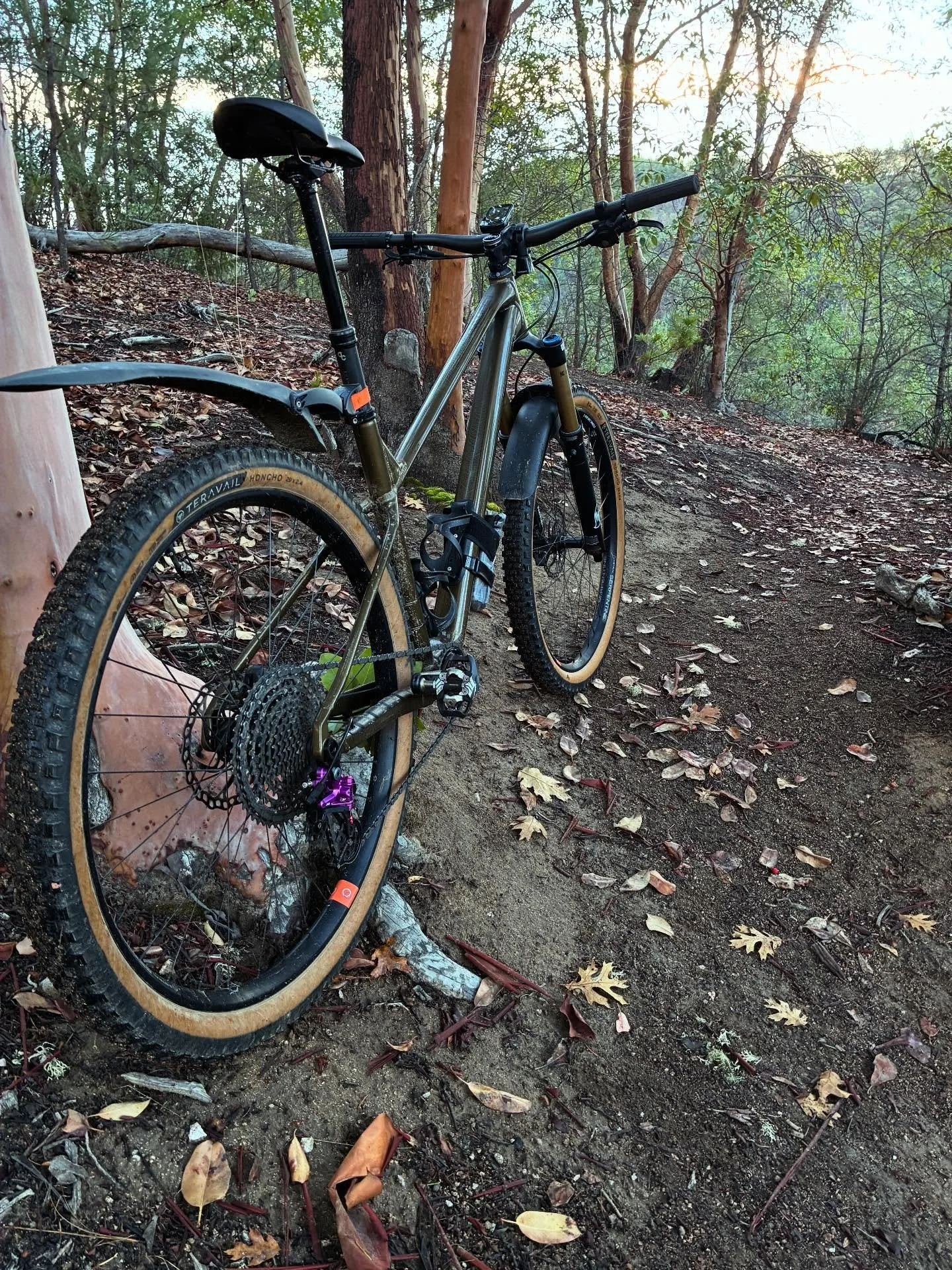 Views on the morning commute. Nice to get above the fog. #viewsonthemorningcommute #ilovethesmellofsingletrackinthemorning #orbealaufey #astralcycling #madronecycles #mtbroguevalley #mtbsouthernoregon #visitjacksonvilleoregon #jacksonvilleoregon #ter