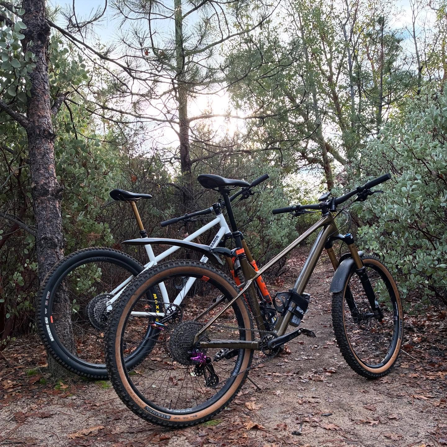 Views on the morning commute. #viewsonthemorningcommute #ilovethesmellofsingletrackinthemorning #blackfridaybikeride #visitjacksonvilleoregon #jacksonvilleoregon #fatchancewicked #orbealaufey #steelisrealmtb #astralcycling #madronecycles #madronecycl