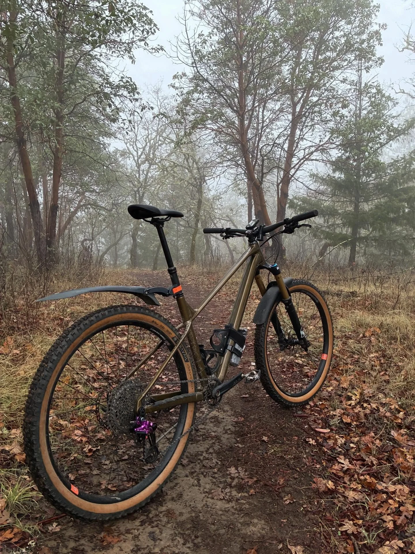 Views on the morning commute. #viewsonthemorningcommute #ilovethesmellofsingletrackinthemorning #intothefog #visitjacksonvilleoregon #jacksonvilleoregon #madronecycles #madronecyclesjab #astralcycling #weareorbea #orbealaufey