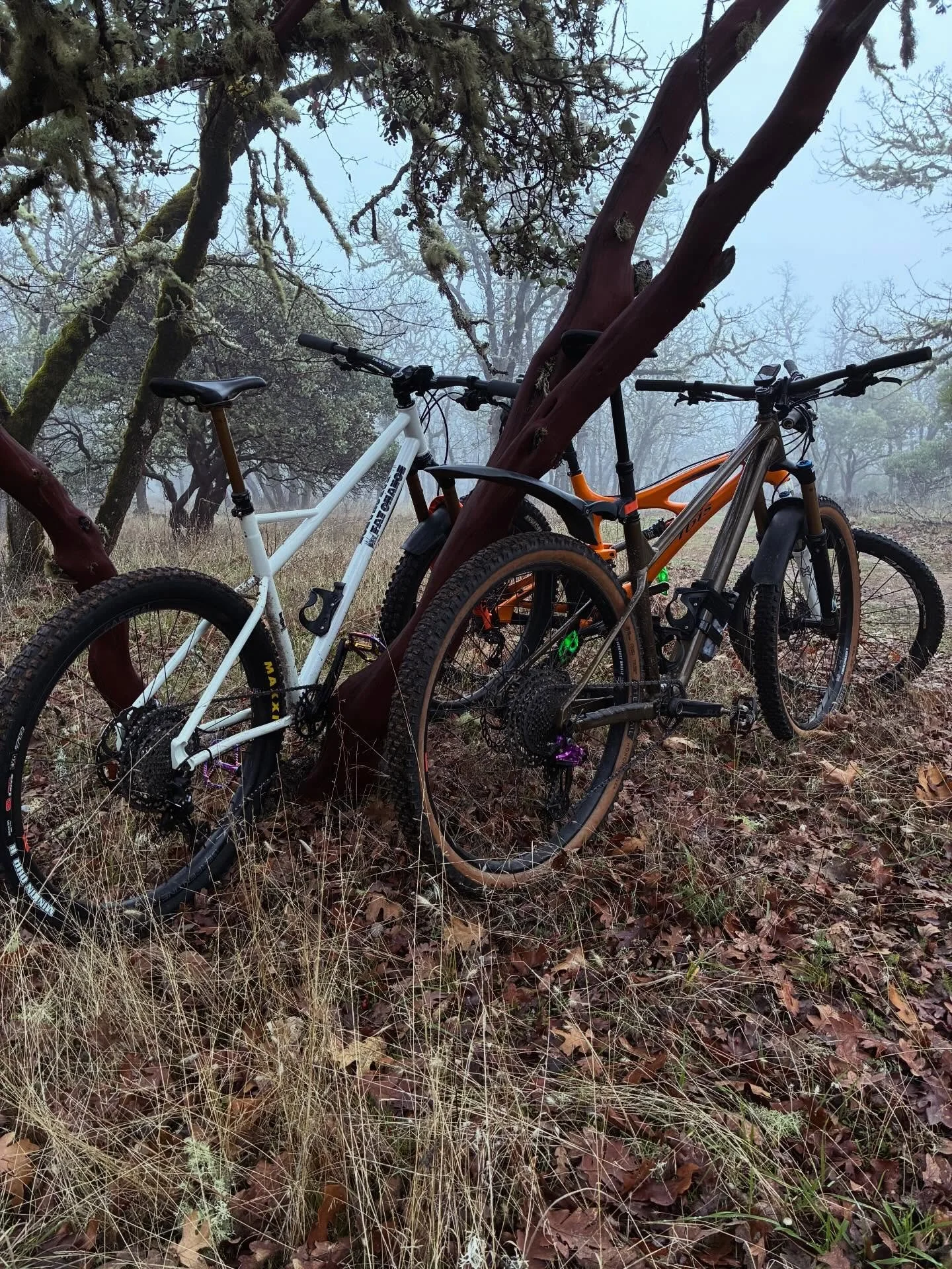 Views on the morning commute. #viewsonthemorningcommute #ilovethesmellofsingletrackinthemorning #orbealaufey #fatchancewicked #weareorbea #fatchancebikes #madronecycles #madronecyclesjab #astralcycling #visitjacksonvilleoregon #jacksonvilleoregon #ja