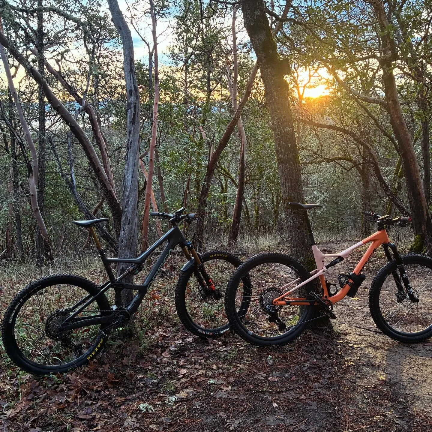 Views on the morning commute. Beautiful sunrise on the trails this morning. #viewsonthemorningcommute #ilovethesmellofsingletrackinthemorning #jacksonvillewoodlands #visitjacksonvilleoregon #jacksonvilleoregon #mtbroguevalley #mtbsouthernoregon #orbe