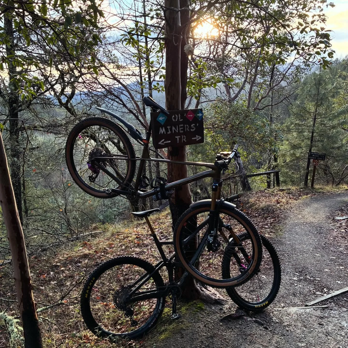 Views on the morning commute. #viewsonthemorningcommute #ilovethesmellofsingletrackinthemorning #orbeaoccam #orbealaufey #snowinthehills #visitjacksonvilleoregon #jacksonvilleoregon #jacksonvilleforestpark #astralcycling #madronecycles