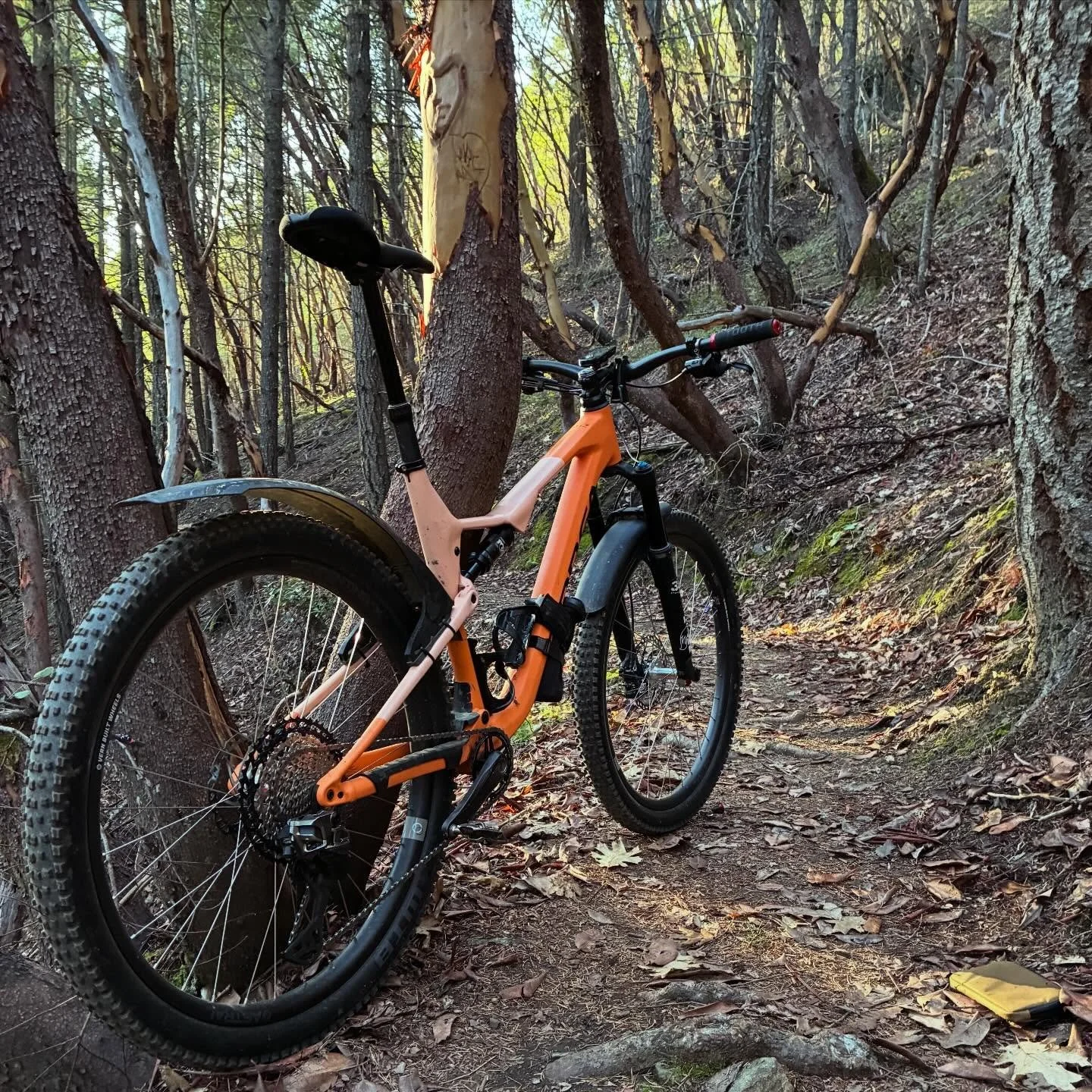 Views on the morning commute. #viewsonthemorningcommute #ilovethesmellofsingletrackinthemorning #mtbsouthernoregon #mtbroguevalley #orbeaoiz