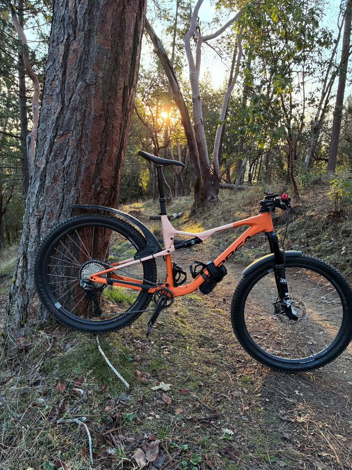 Views on the morning commute. #viewsonthemorningcommute #ilovethesmellofsingletrackinthemorning #mtbroguevalley #orbeaoiz #mtbsouthernoregon