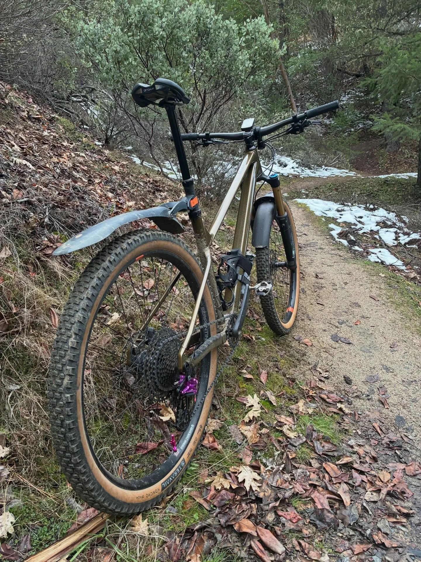 Views on the morning commute. #viewsonthemorningcommute #ilovethesmellofsingletrackinthemorning #orbealaufey #fatchancewicked #mtbroguevalley