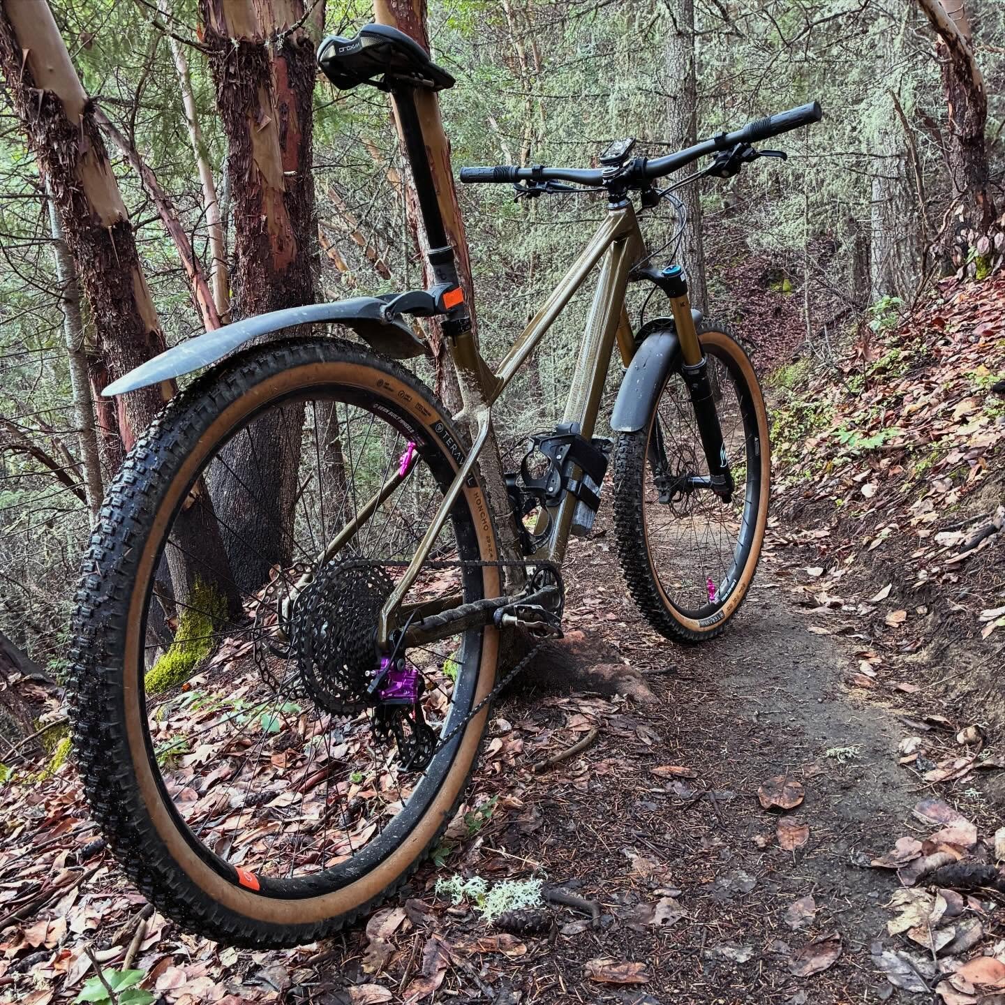 Views on the morning commute. Madrone Jab derailleur at Madrone Point. #viewsonthemorningcommute #ilovethesmellofsingletrackinthemorning #mtbroguevalley #visitjacksonvilleoregon #madronecyclesjab