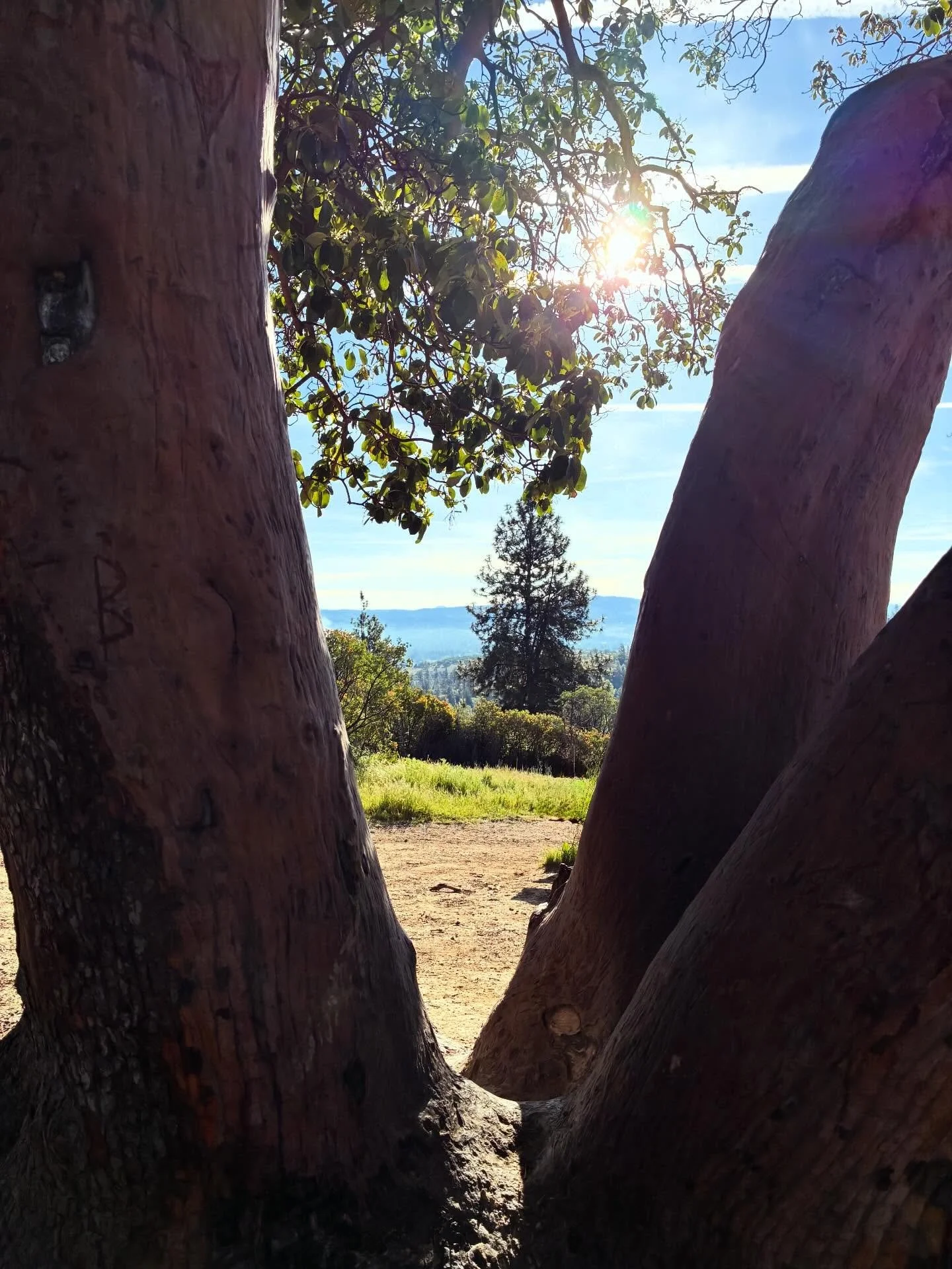 Views on the morning commute. #viewsonthemorningcommute #itsabeautifulday☀️ #visitjacksonvilleoregon #jacksonvilleoregon