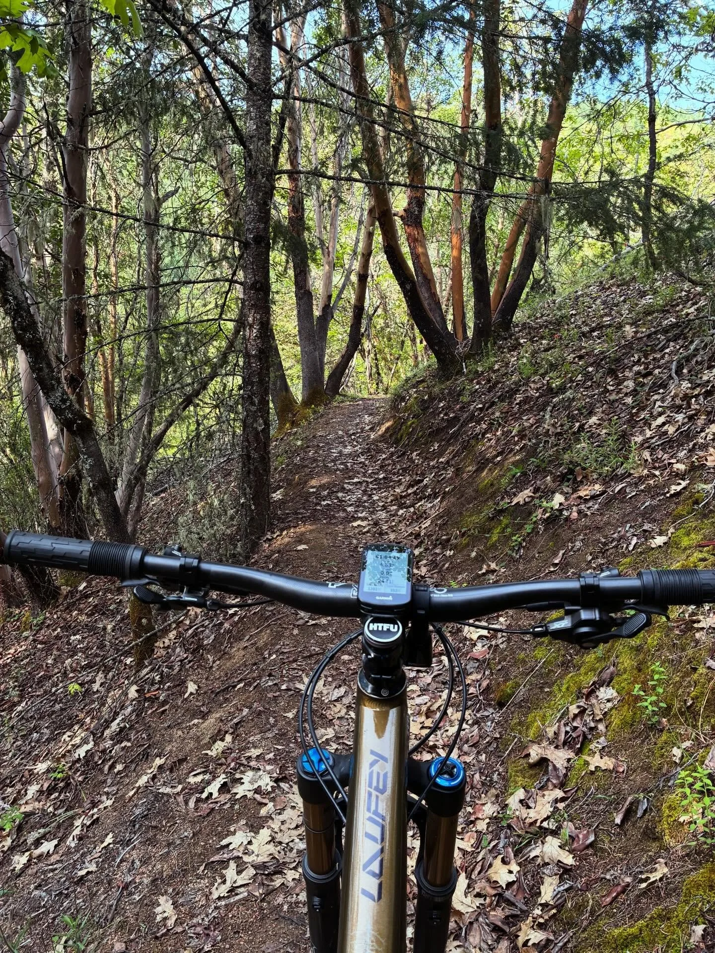 Views on the morning commute. #viewsonthemorningcommute #ilovethesmellofsingletrackinthemorning #mtbroguevalley #visitjacksonvilleoregon #mtbsouthernoregon
