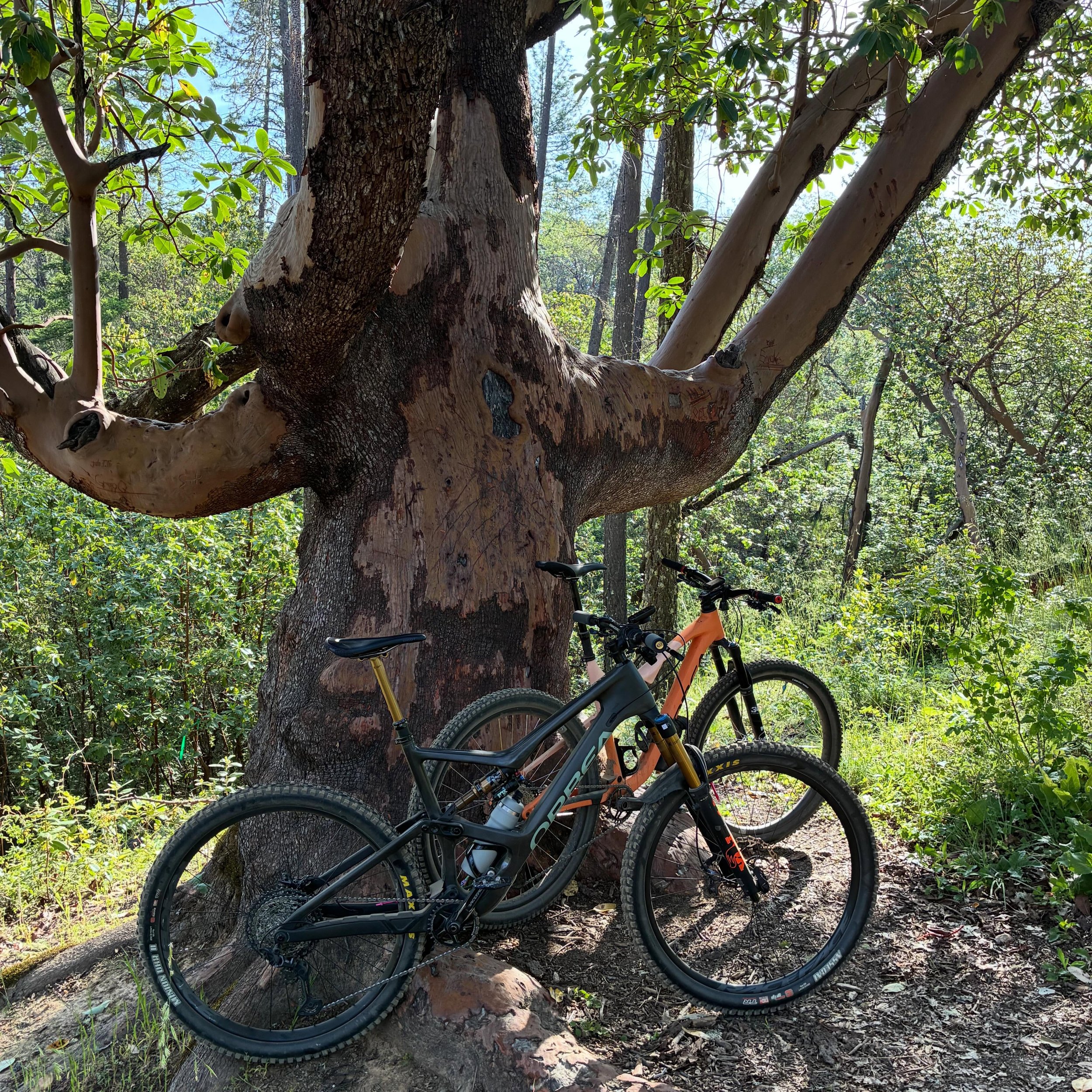 Views on the morning commute. Beautiful day to be on a bike. Stop by and fill up your water bottles. #viewsonthemorningcommute #ilovethesmellofsingletrackinthemorning #orbeamtb #visitjacksonvilleoregon #mtbroguevalley