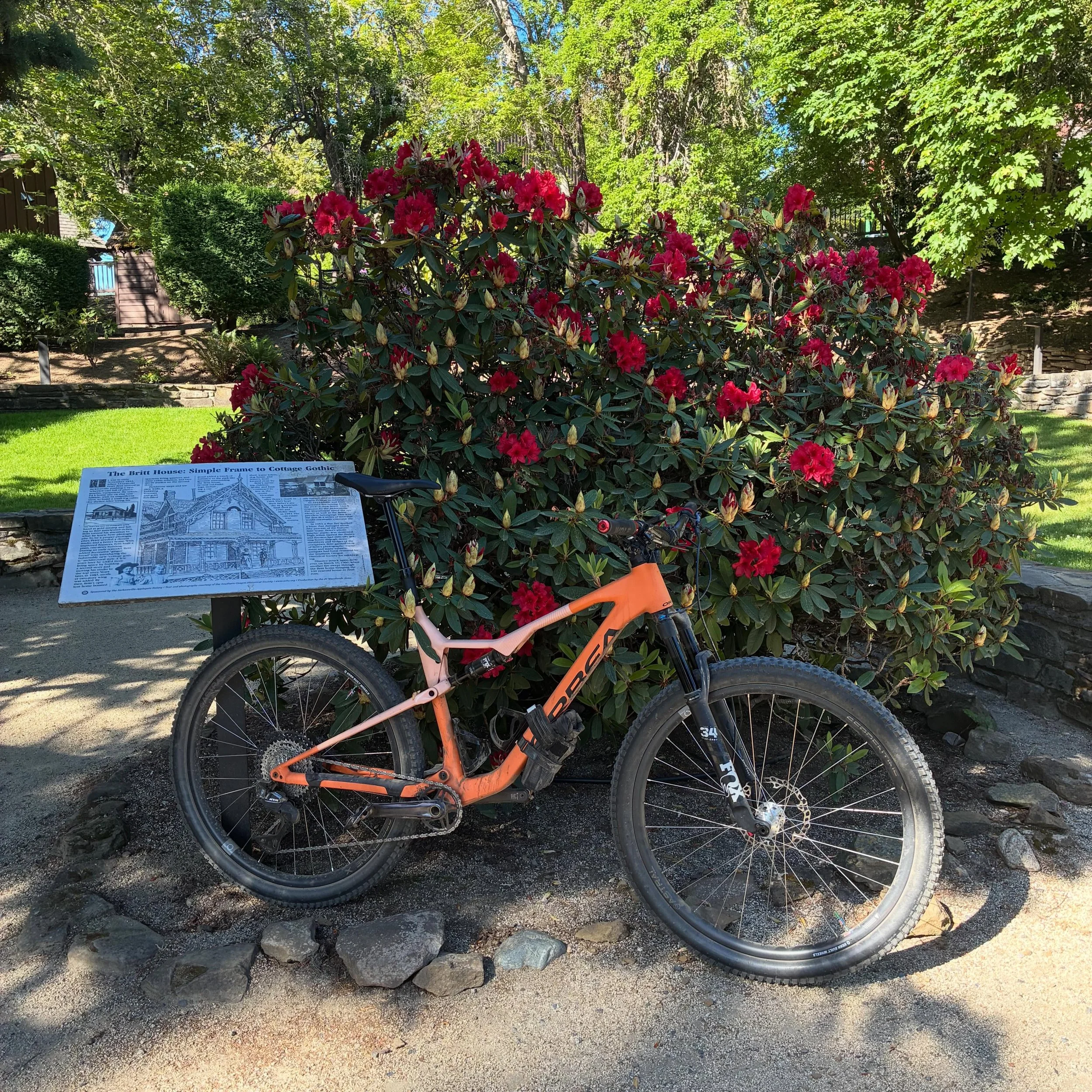 Views on the morning commute. #viewsonthemorningcommute #ilovethesmellofsingletrackinthemorning #beautifuldayforaride #visitjacksonvilleoregon #mtbroguevalley
