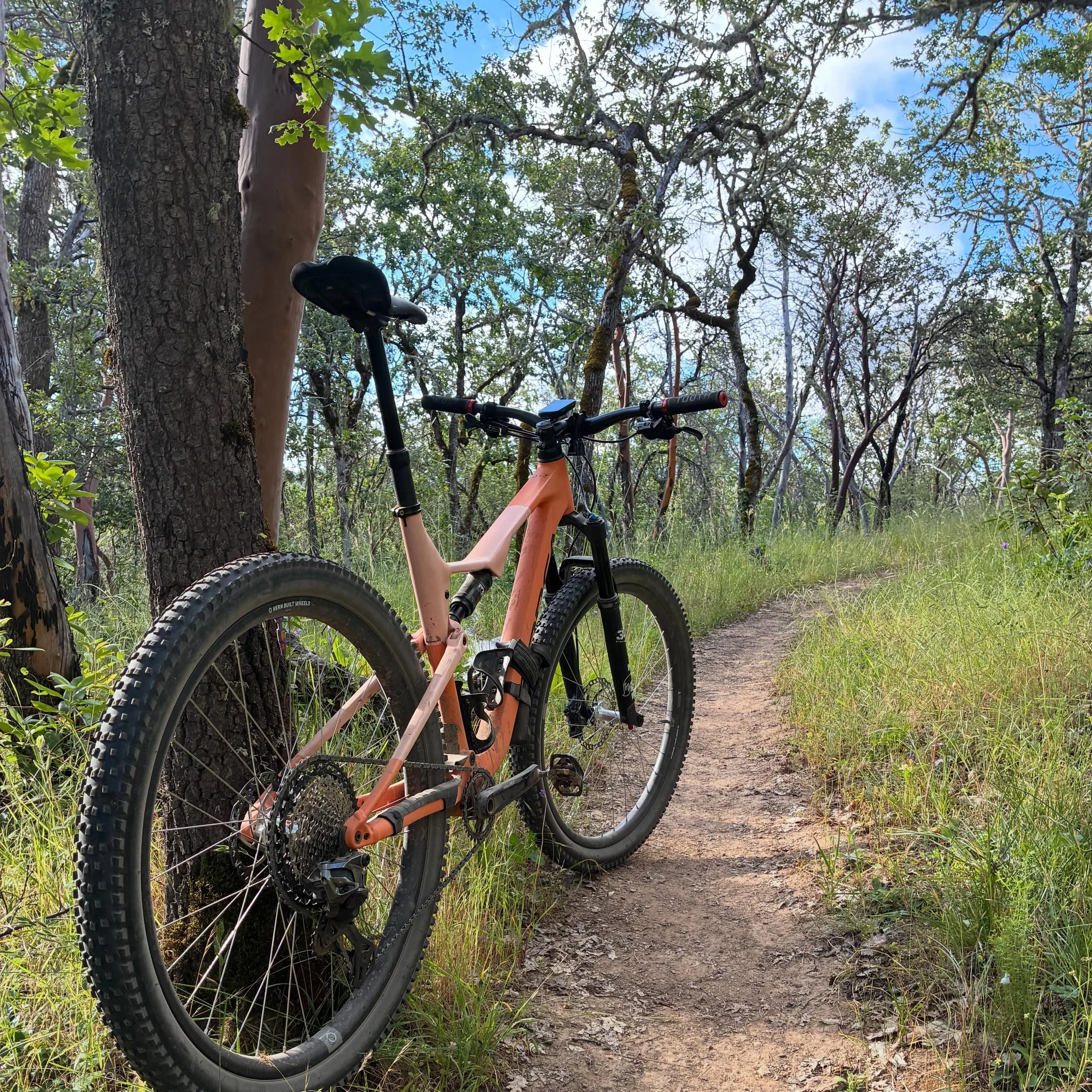 Views on the morning commute. Another wonderful bike ride in the Jacksonville Woodlands. #viewsonthemorningcommute #ilovethesmellofsingletrackinthemorning #visitjacksonvilleoregon #mtbroguevalley #orbeaoiz