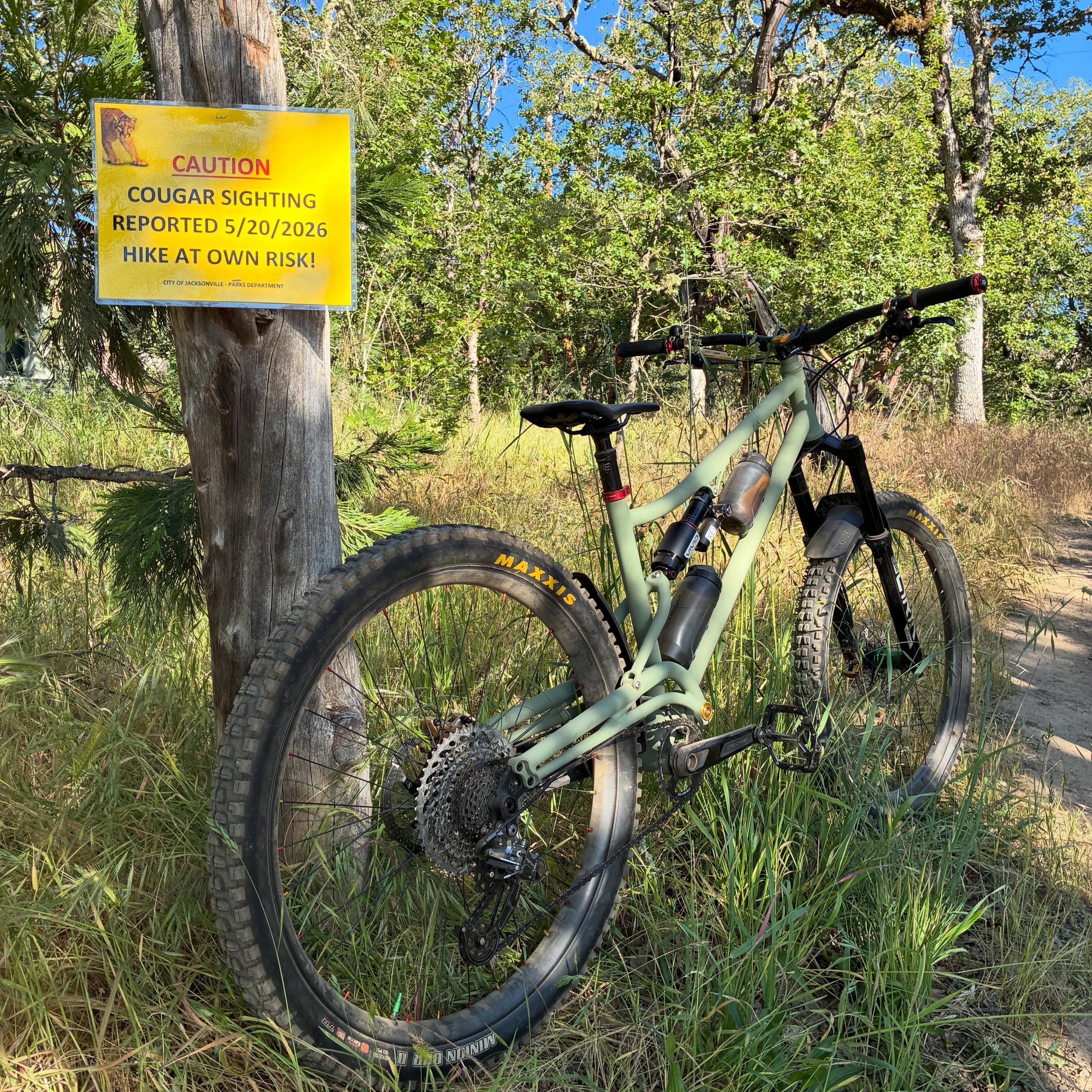 Views on the morning commute. Captured a photo of the new Wolfhound full suspension MTB today. Thanks for joining our ride today Fred. #viewsonthemorningcommute #ilovethesmellofsingletrackinthemorning #wolfhoundcycles #visitjacksonvilleoregon #orbeab
