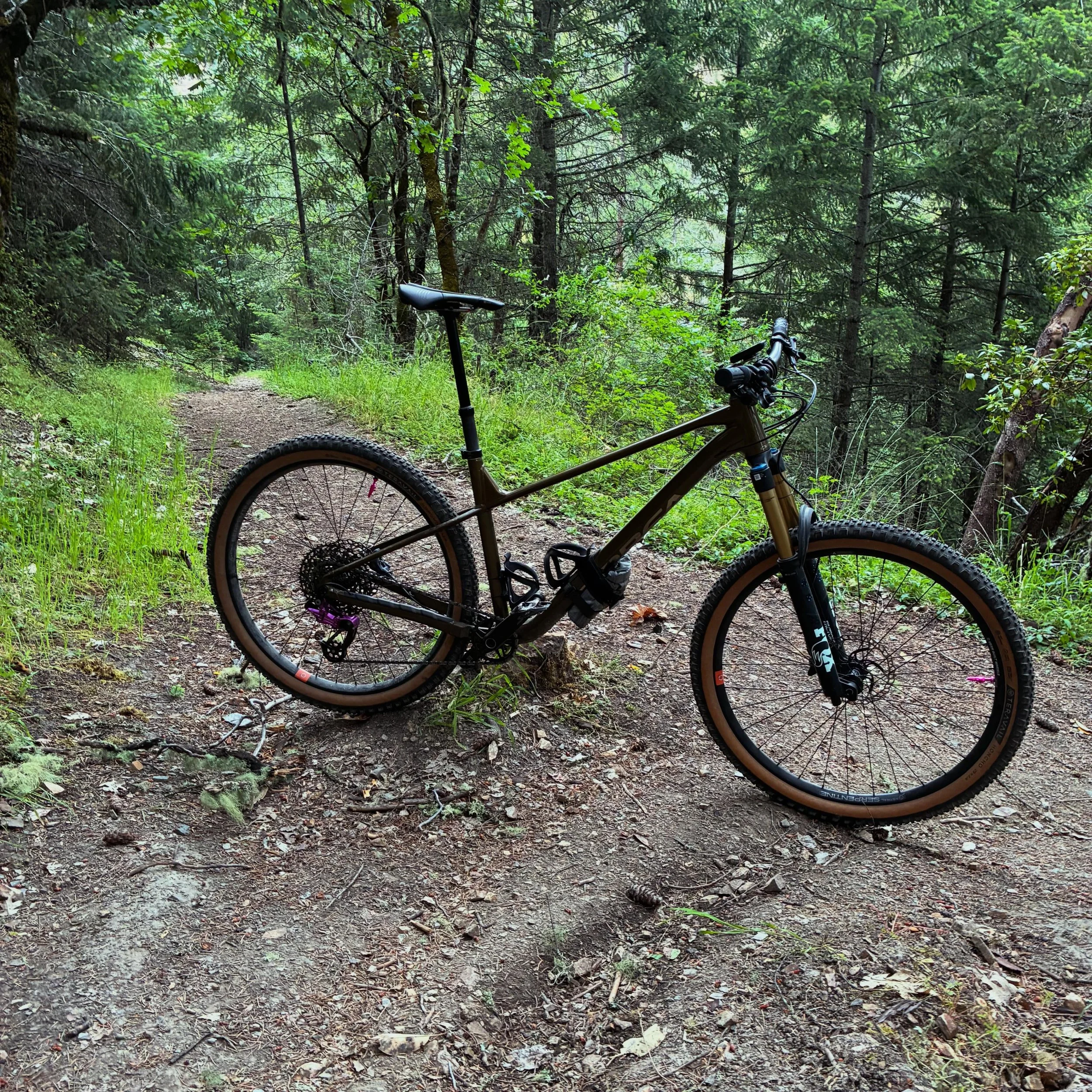 Views on the morning commute. #viewsonthemorningcommute #ilovethesmellofsingletrackinthemorning #fatchancewicked #orbealaufey #mtbroguevalley